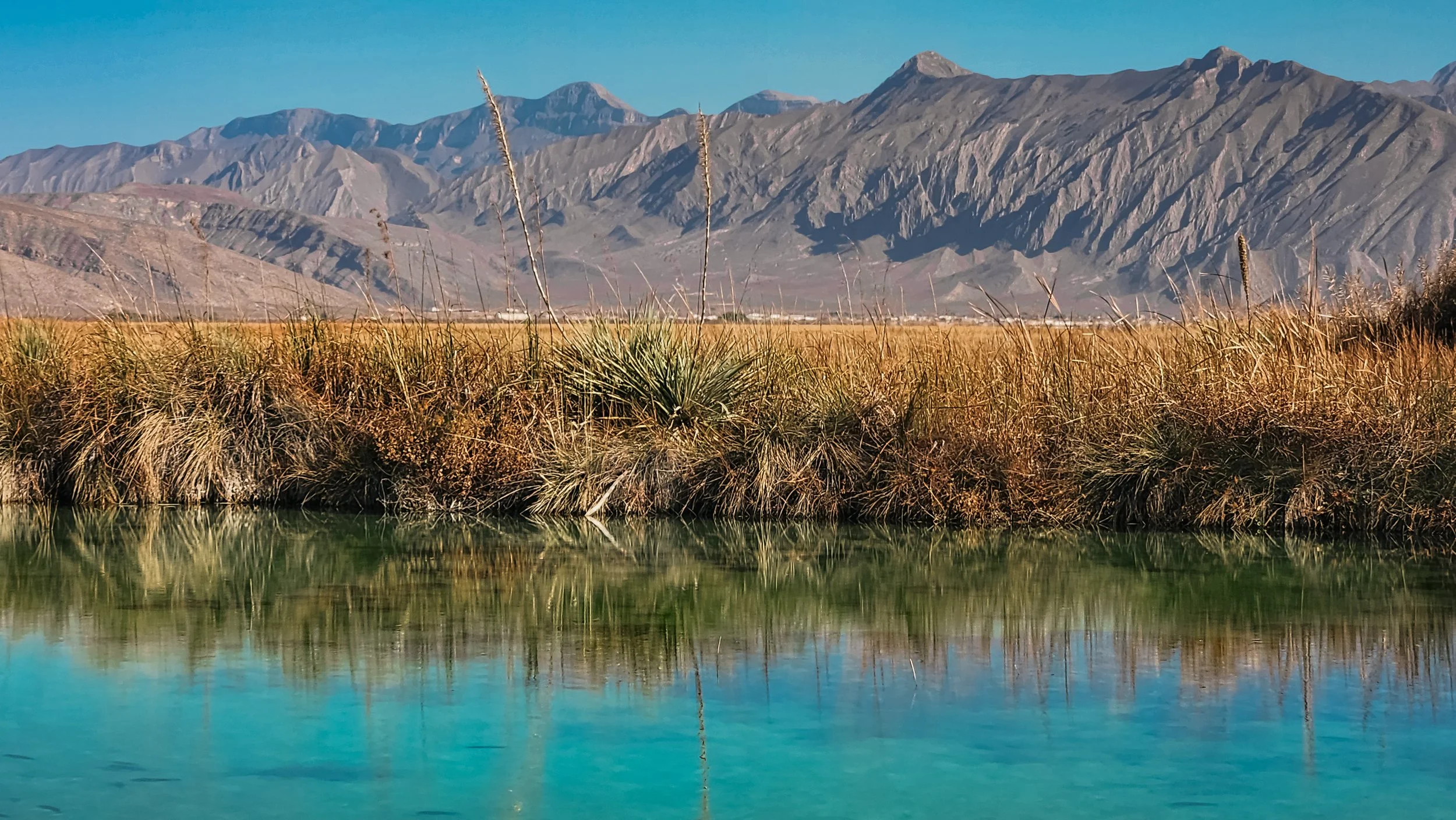 Copia de 20250201_102754.jpg