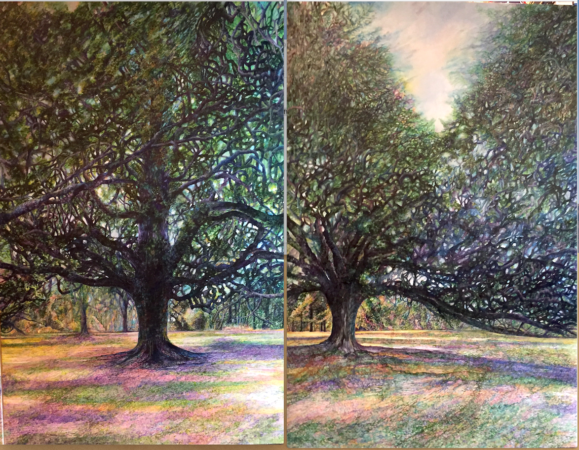 Stronger Together,Live oaks.png