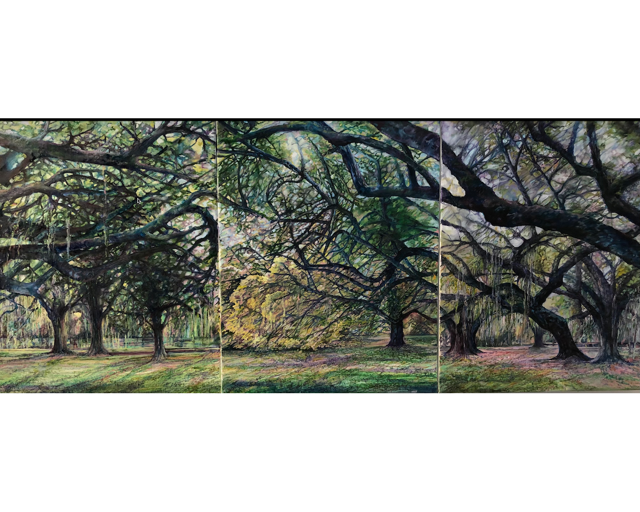 Live Oaks 2021 20'x16_ each on 3 canvases.png