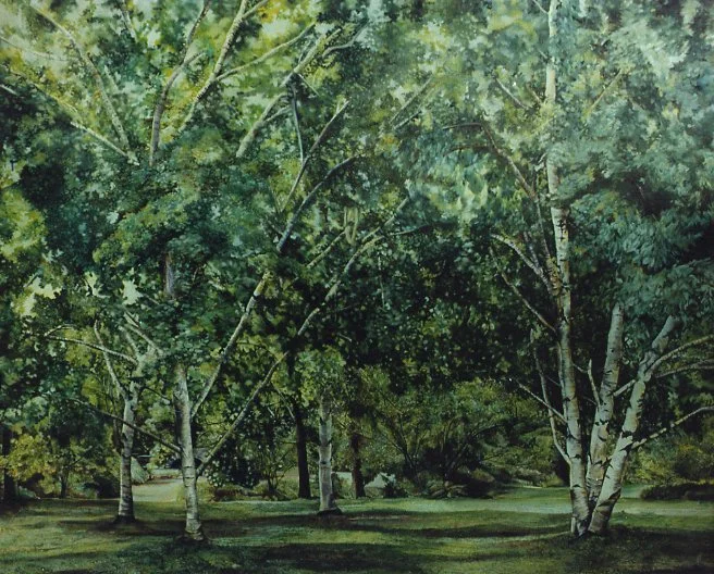 RIVER BIRCH.jpg