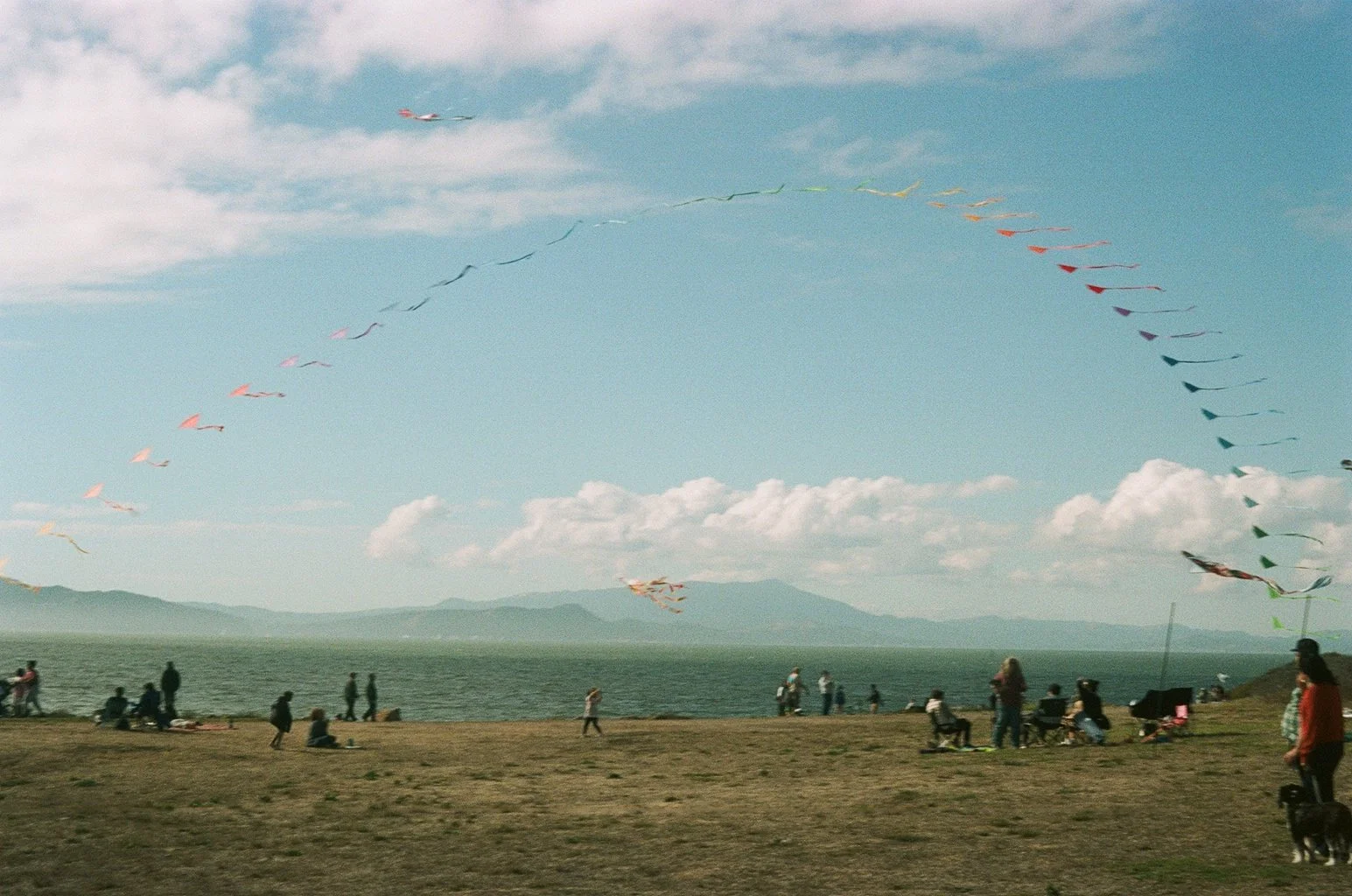 The Problems of Incentives