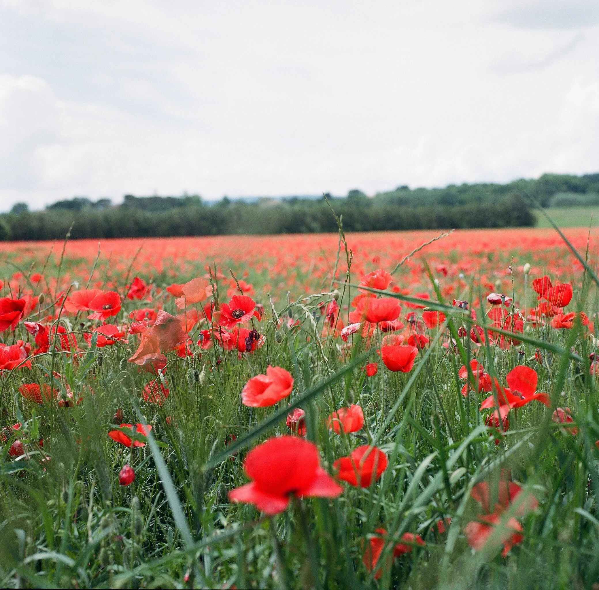 Simulate First, Succeed Later: The Science of Screwing Up on Purpose