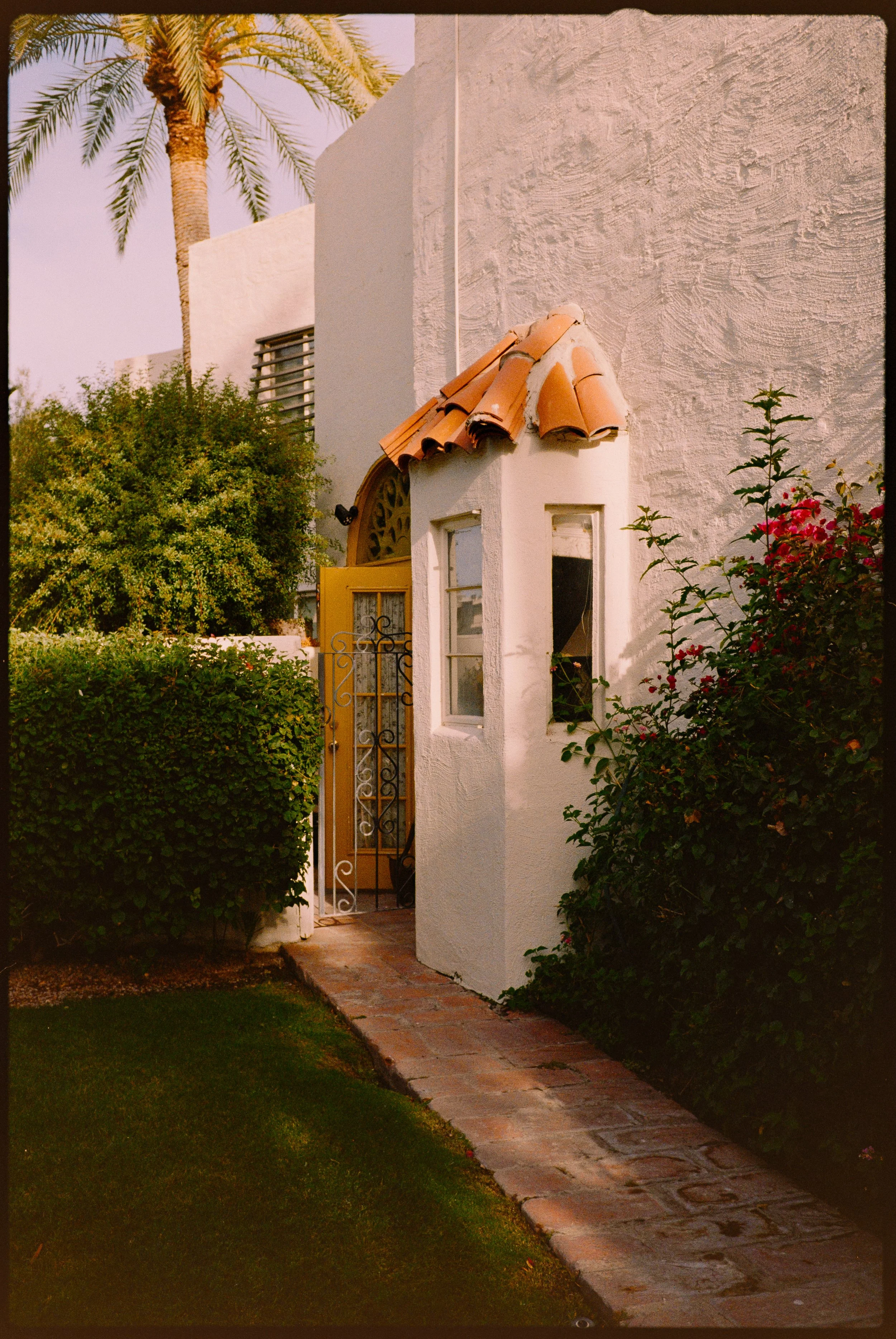 POPS8159.jpg