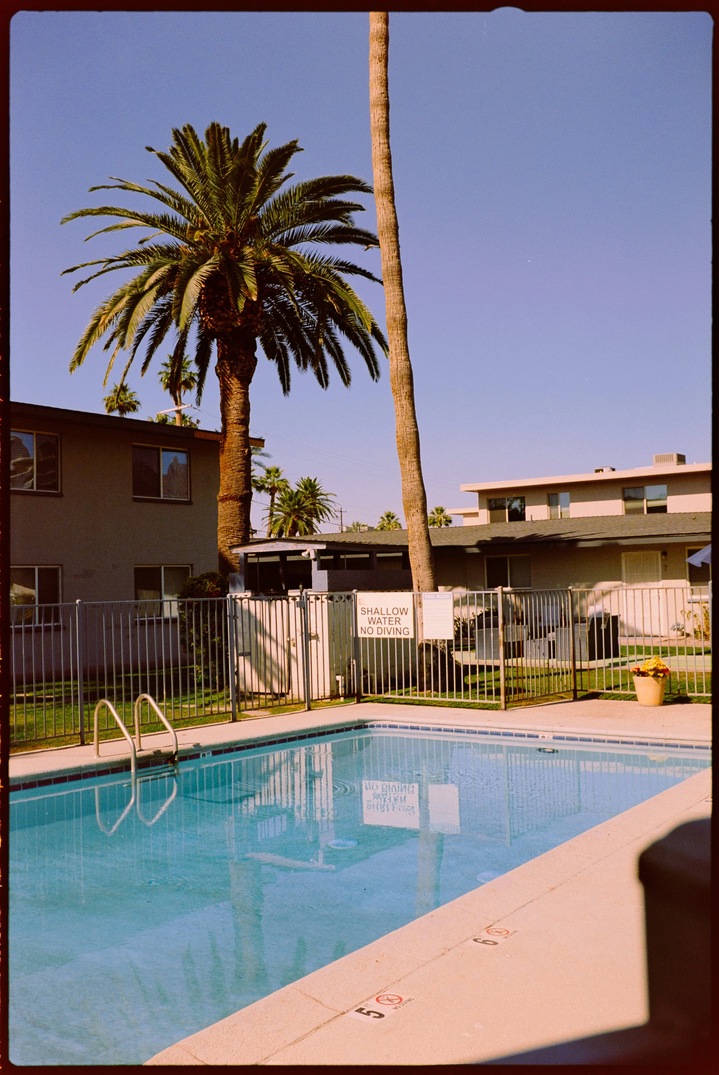 POPS8107.jpg