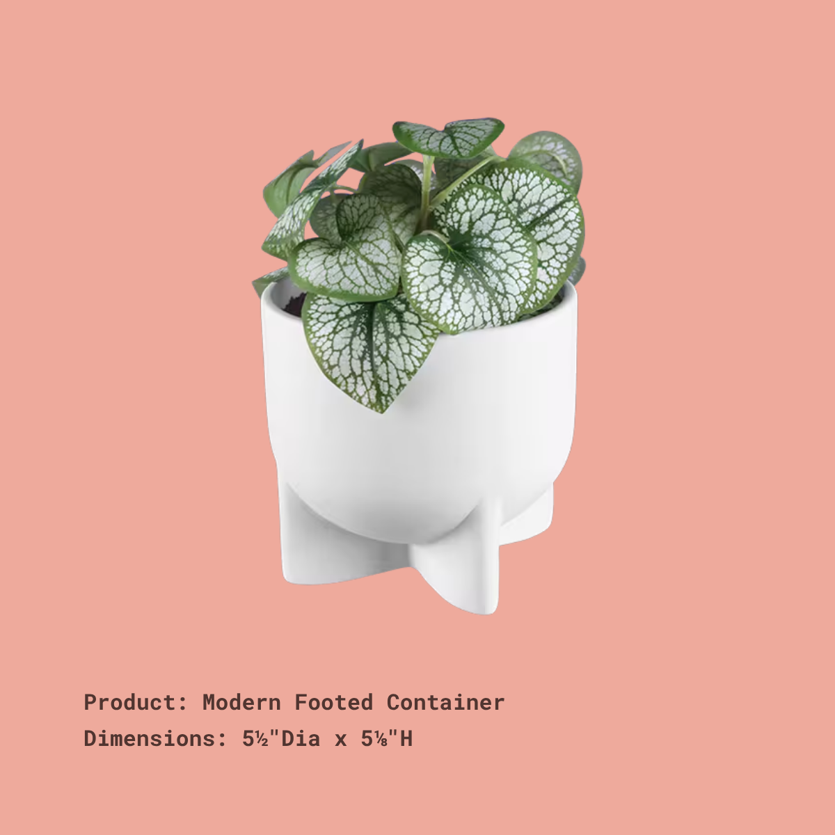 Footed Planter.png