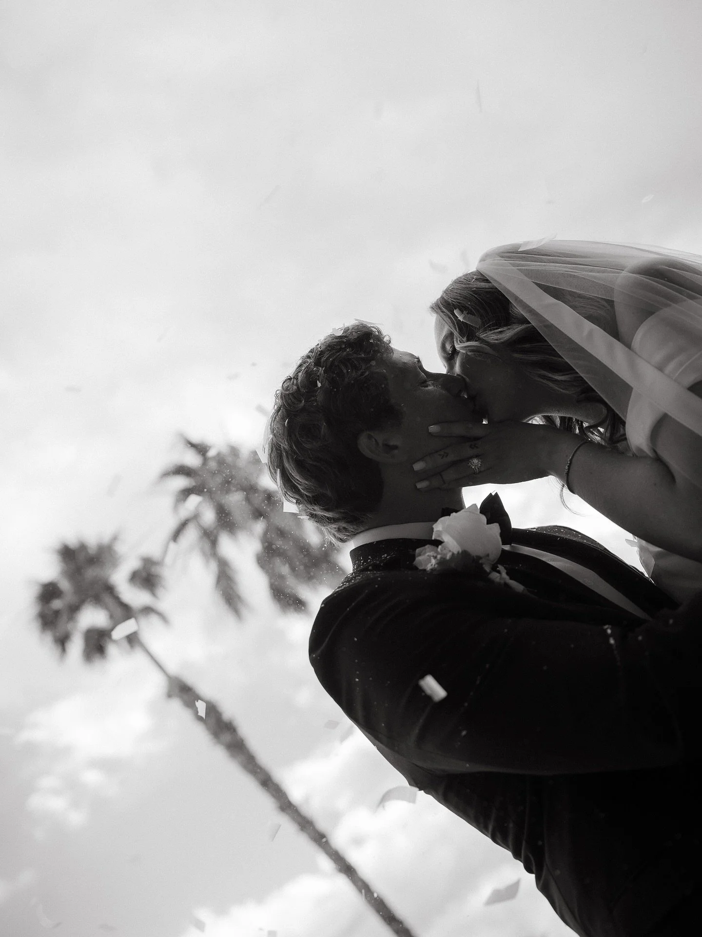 Like a desert raven, you appeared - wild, haunting, and free. 
&bull;
&bull;
&bull;
&bull;
&bull;
#desertraven #jonathanwilson #palmspringswedding #desertromance #moodyweddings #indieaesthetics #loveintheheat #tildeathphotography