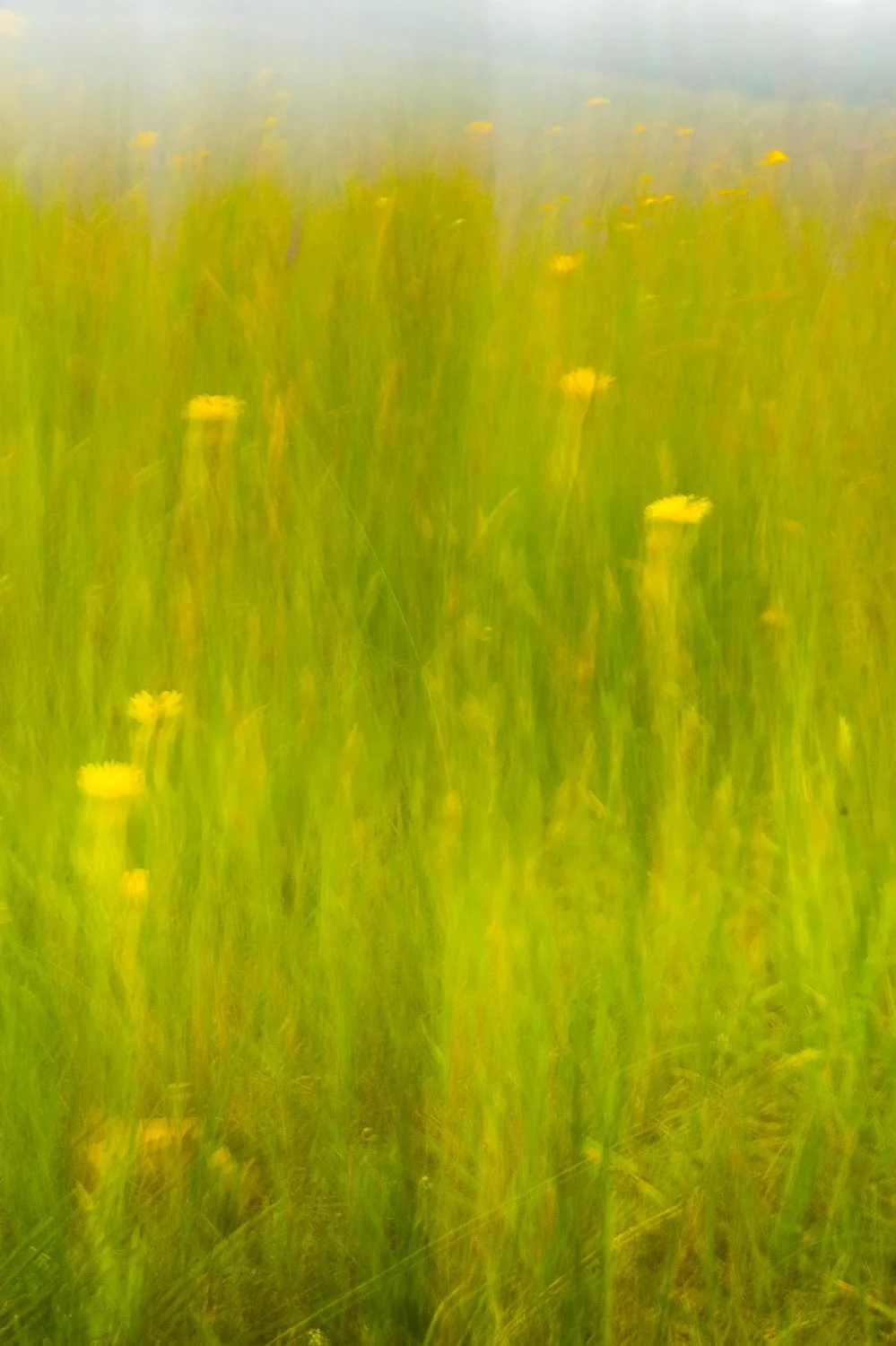 20250607-_RJD8447.jpg