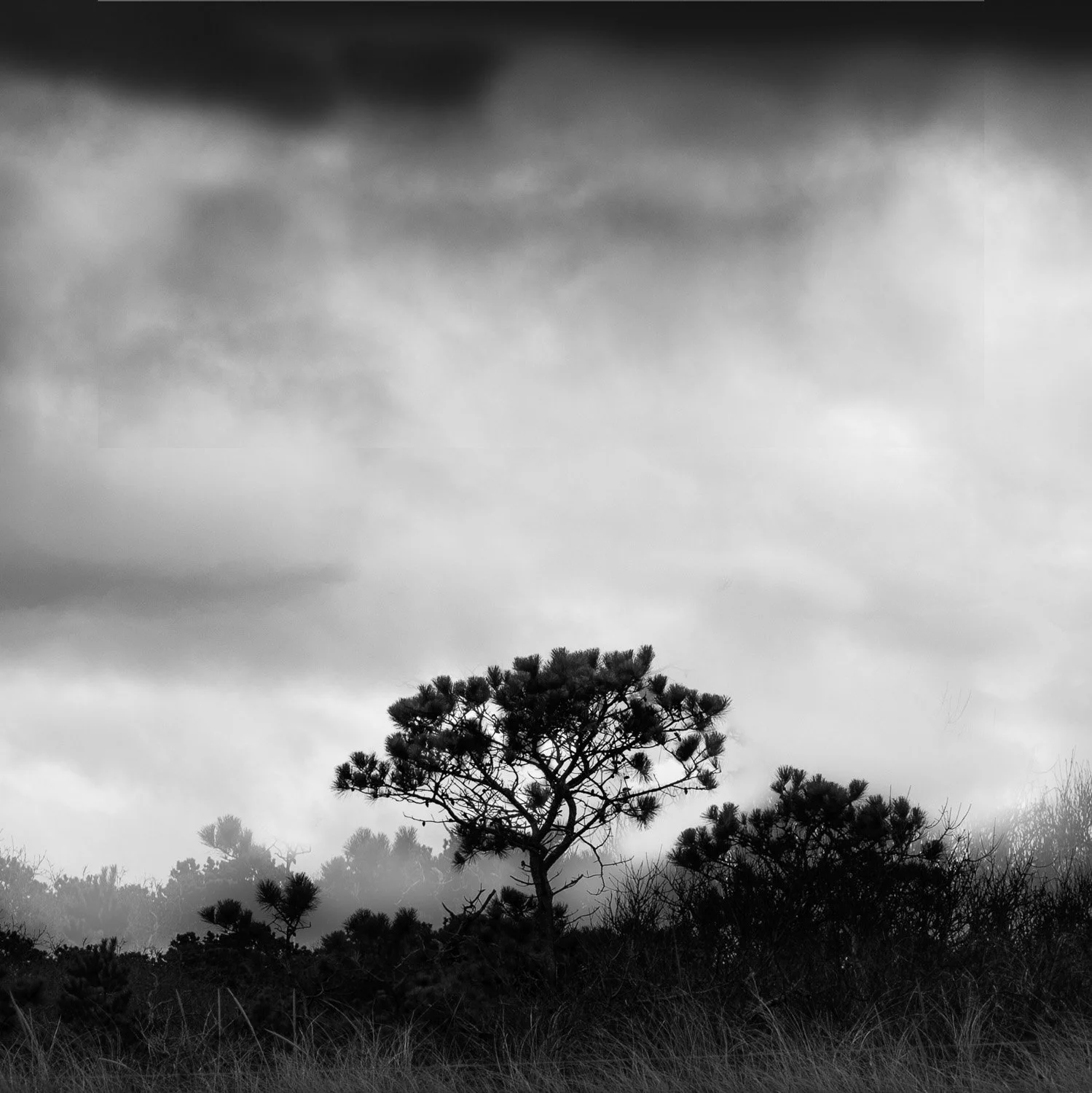 20250408-_RJD6817-Edit.jpg