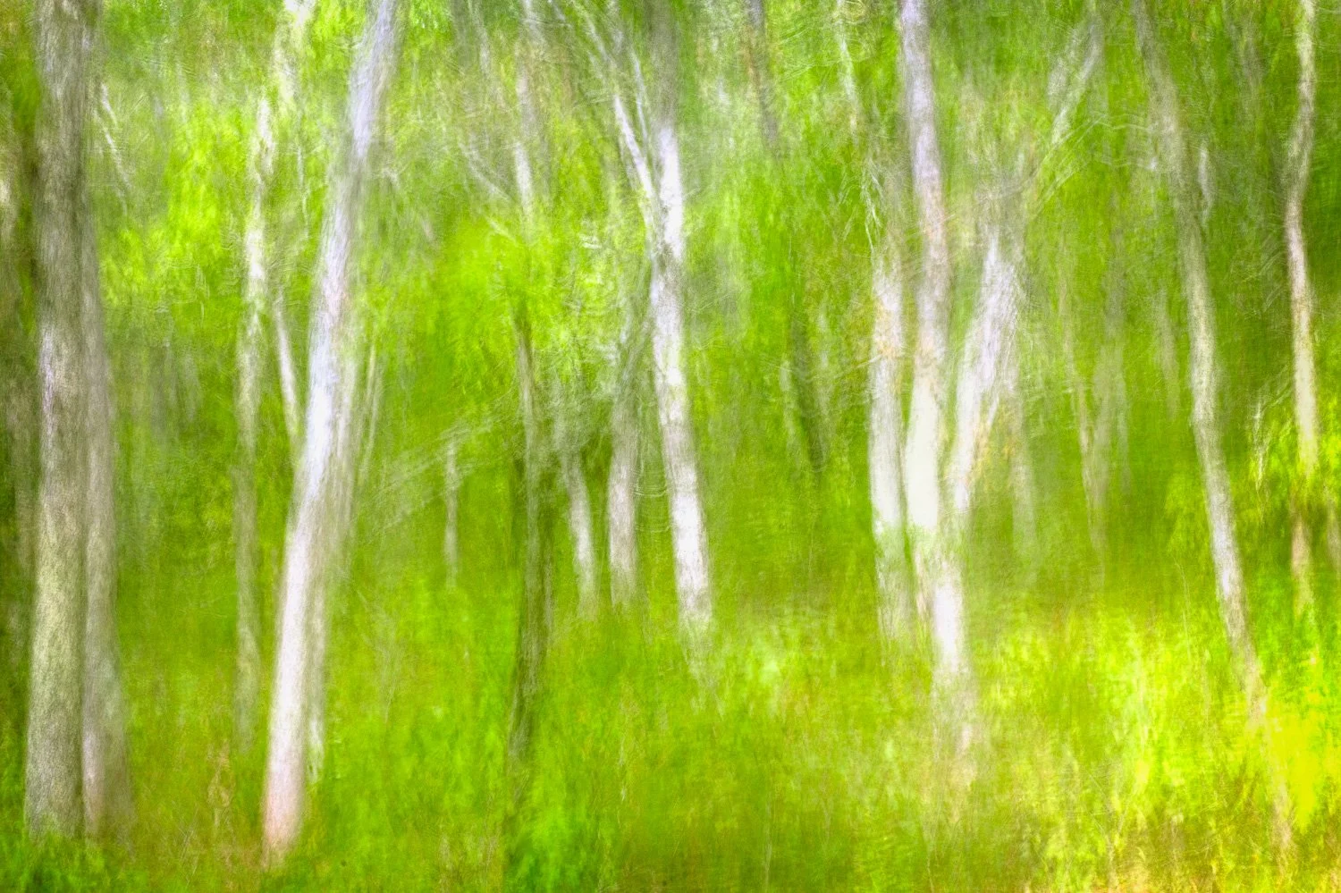 20250524-_RJD7880-Edit.jpg