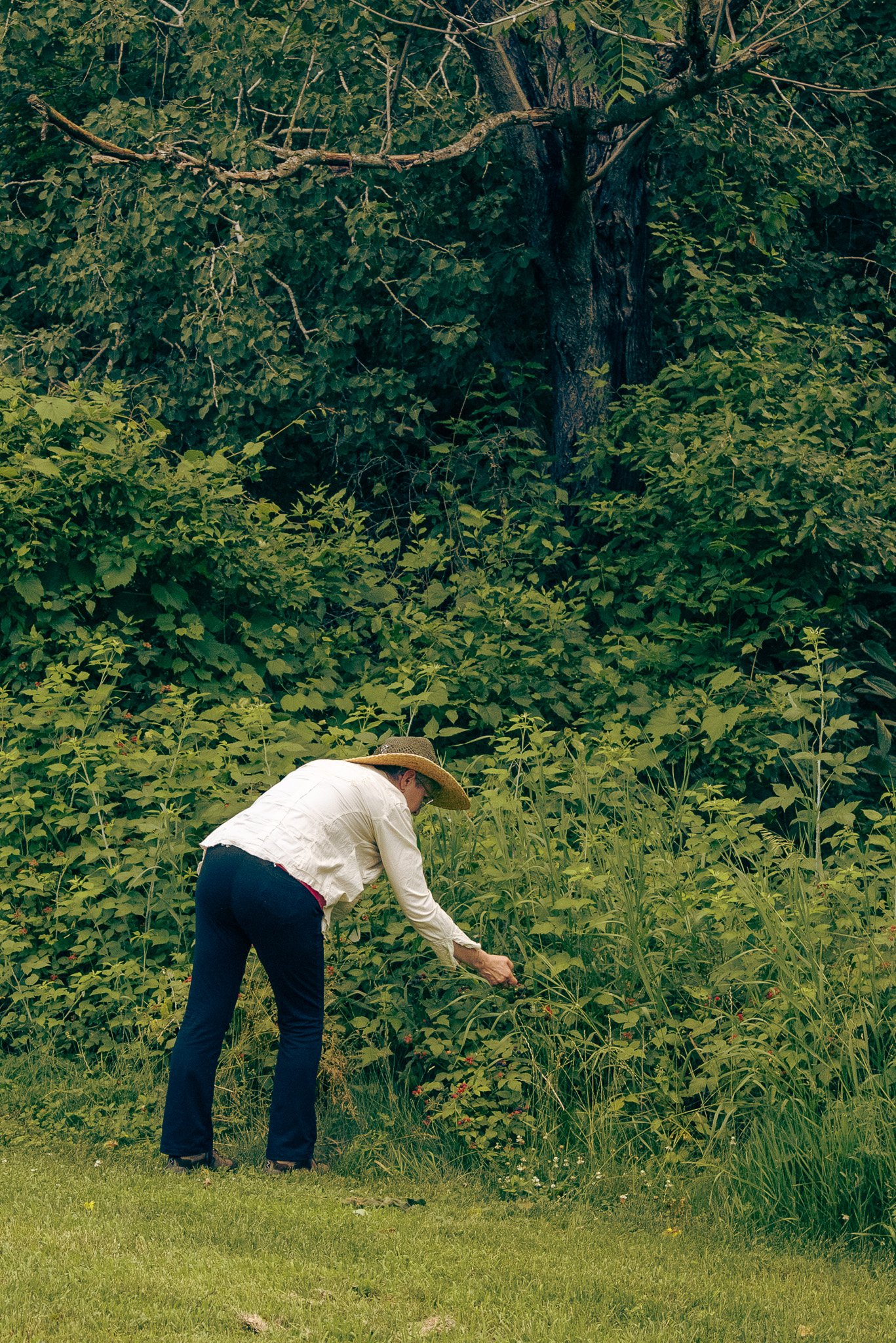 nature-based retreats Western New York
