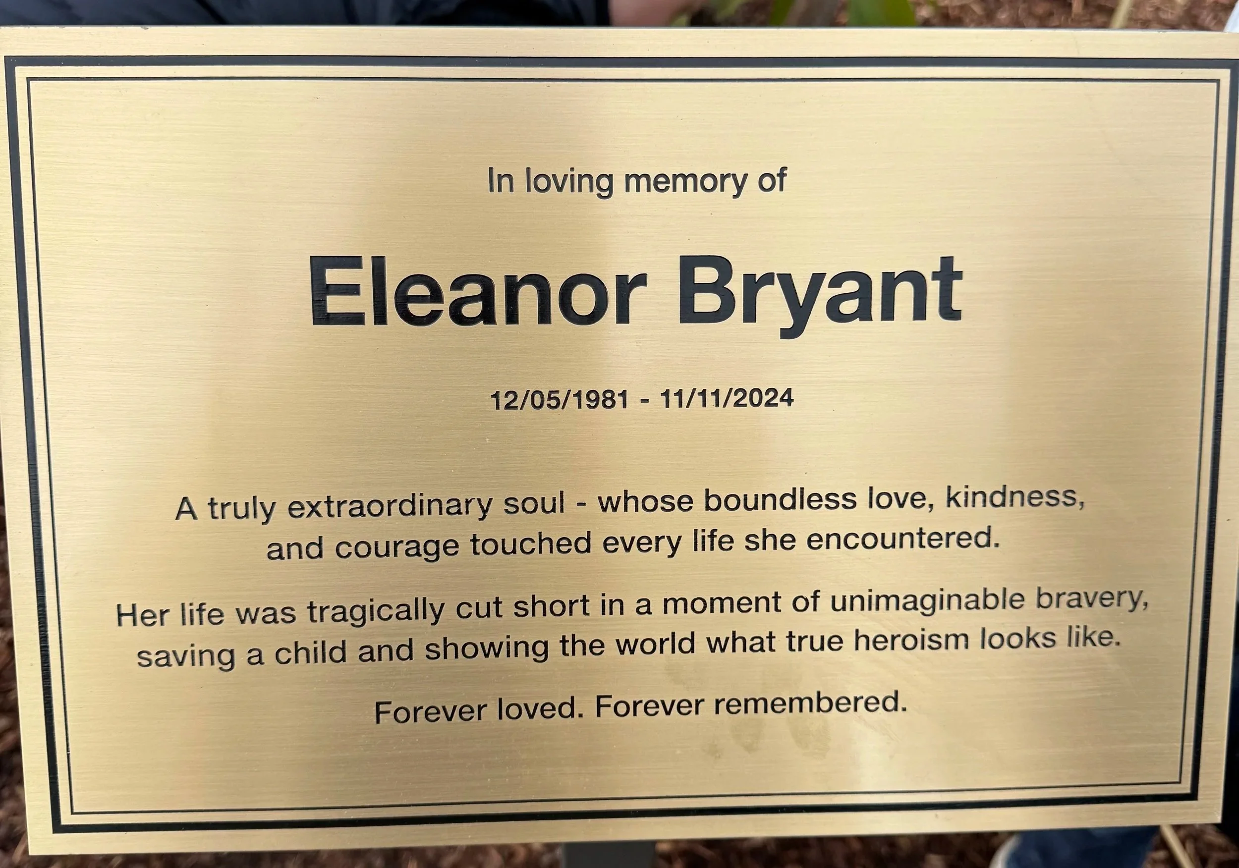 Newsletter Edition 1 – March 2026