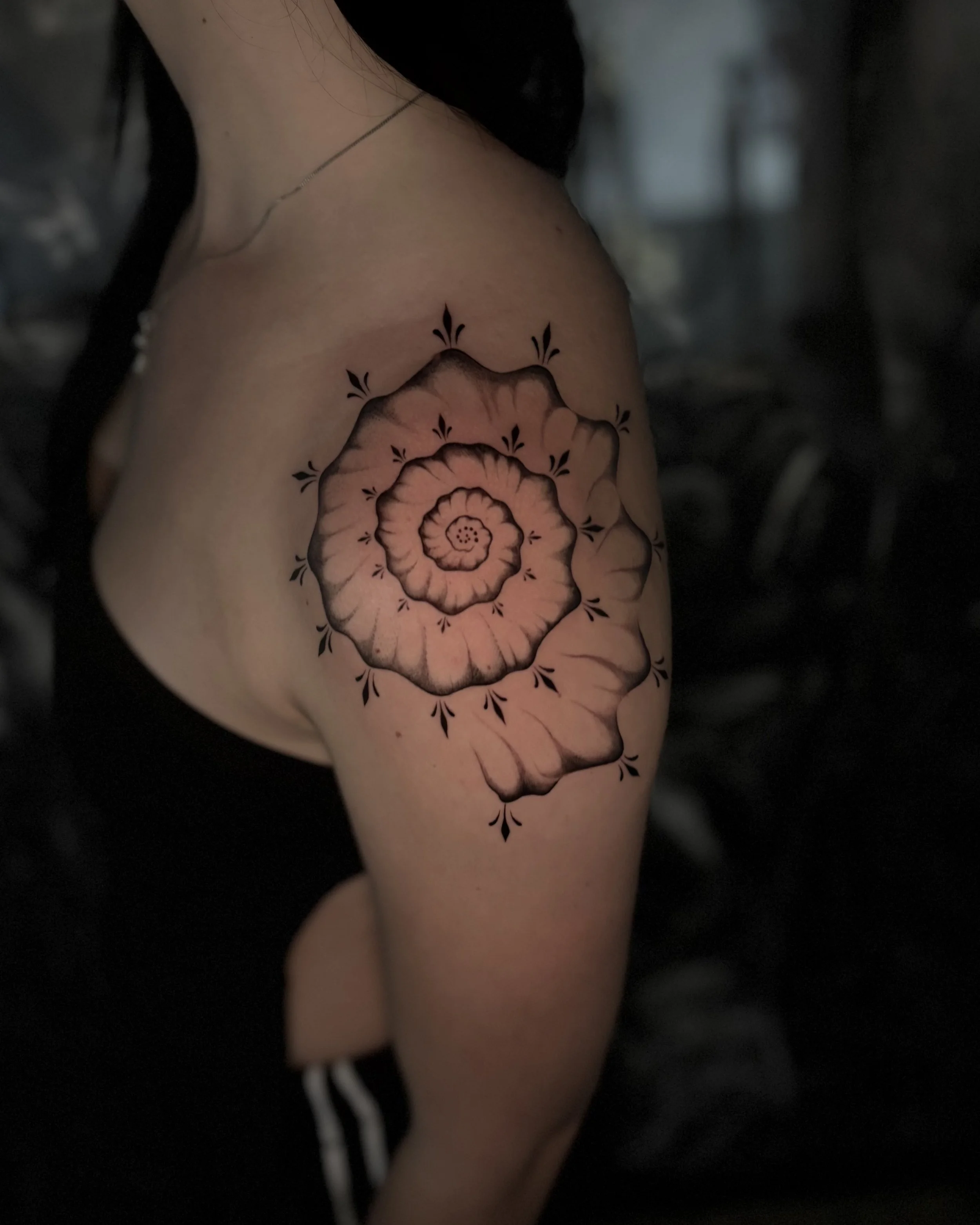 Svenja Soleya Tattoo Auckland Ornamental Spiral.jpeg