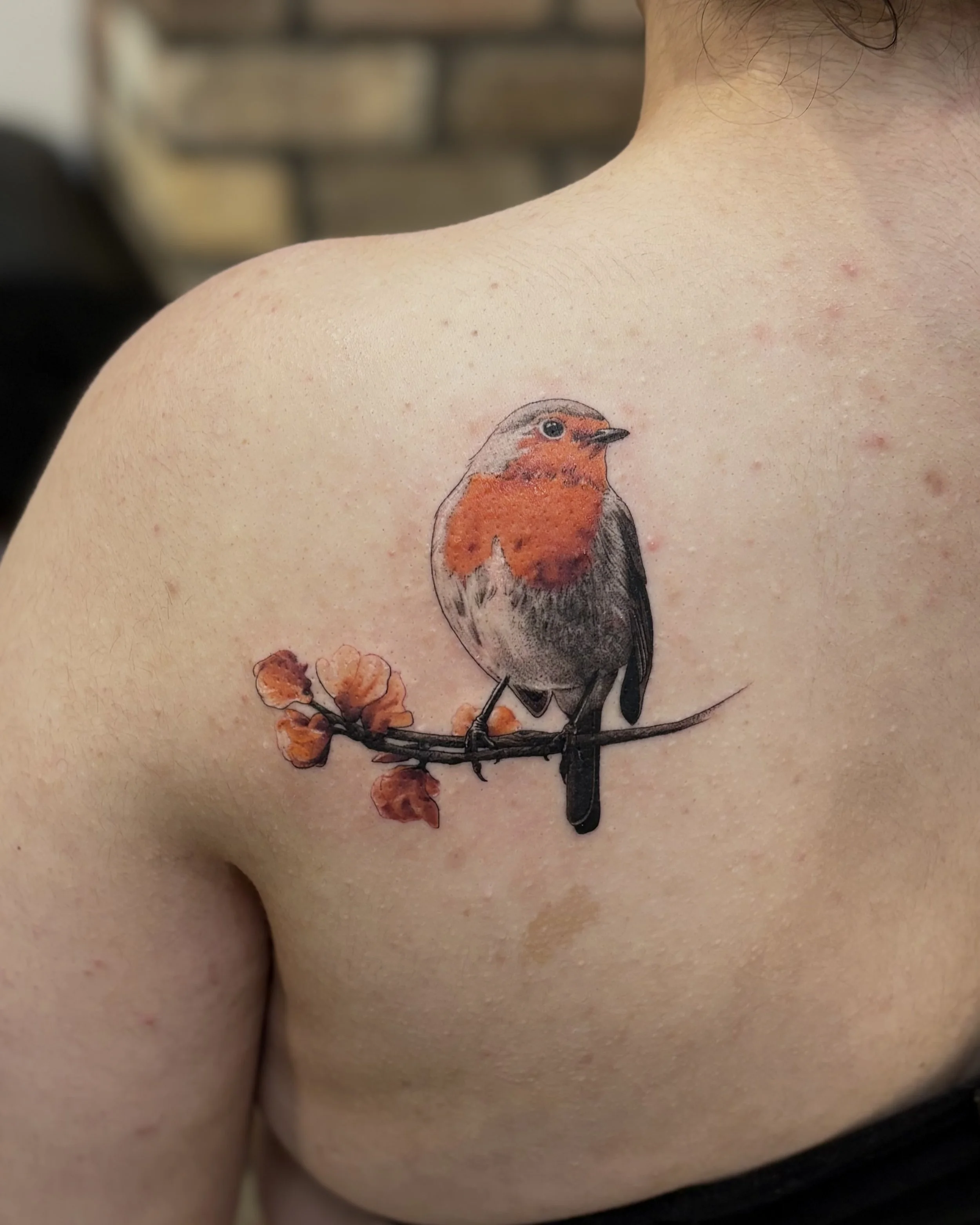 Little coloured bird on branch tattooed by Soleya in Auckland 