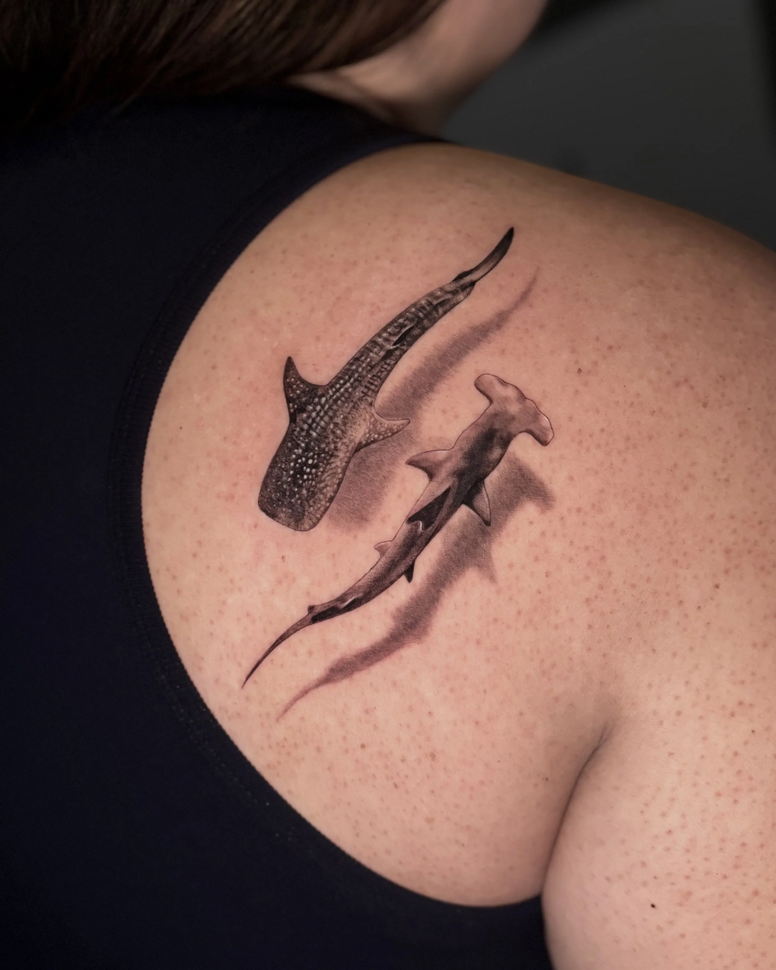 Soft  black and grey realism tattoo by Soleya Tattoo in Auckland —creating a stunning 3 dimensional effect with these beautiful sharks