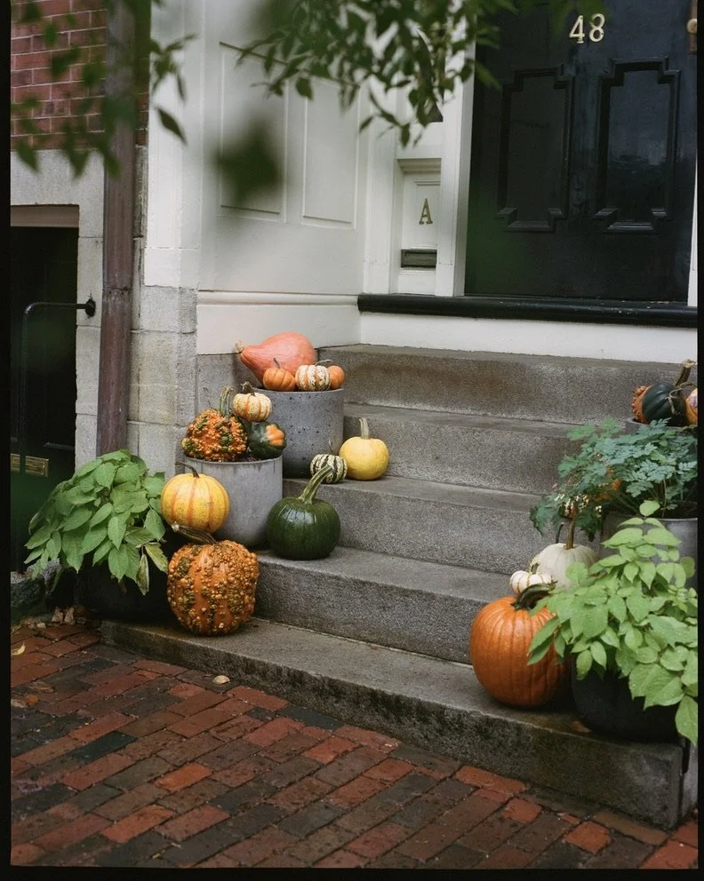 Harvest Fest