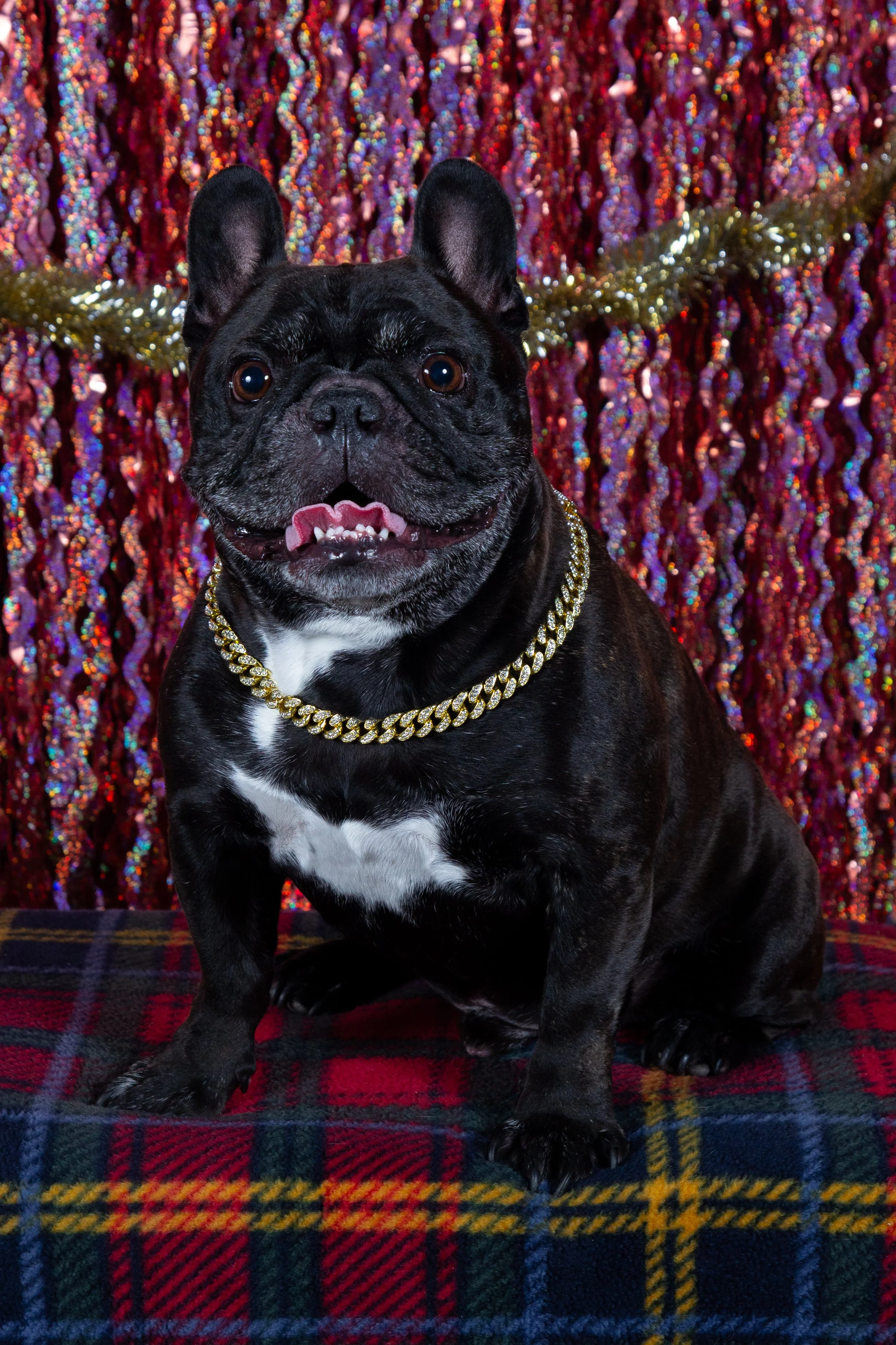 Holiday Portrait-11.jpg