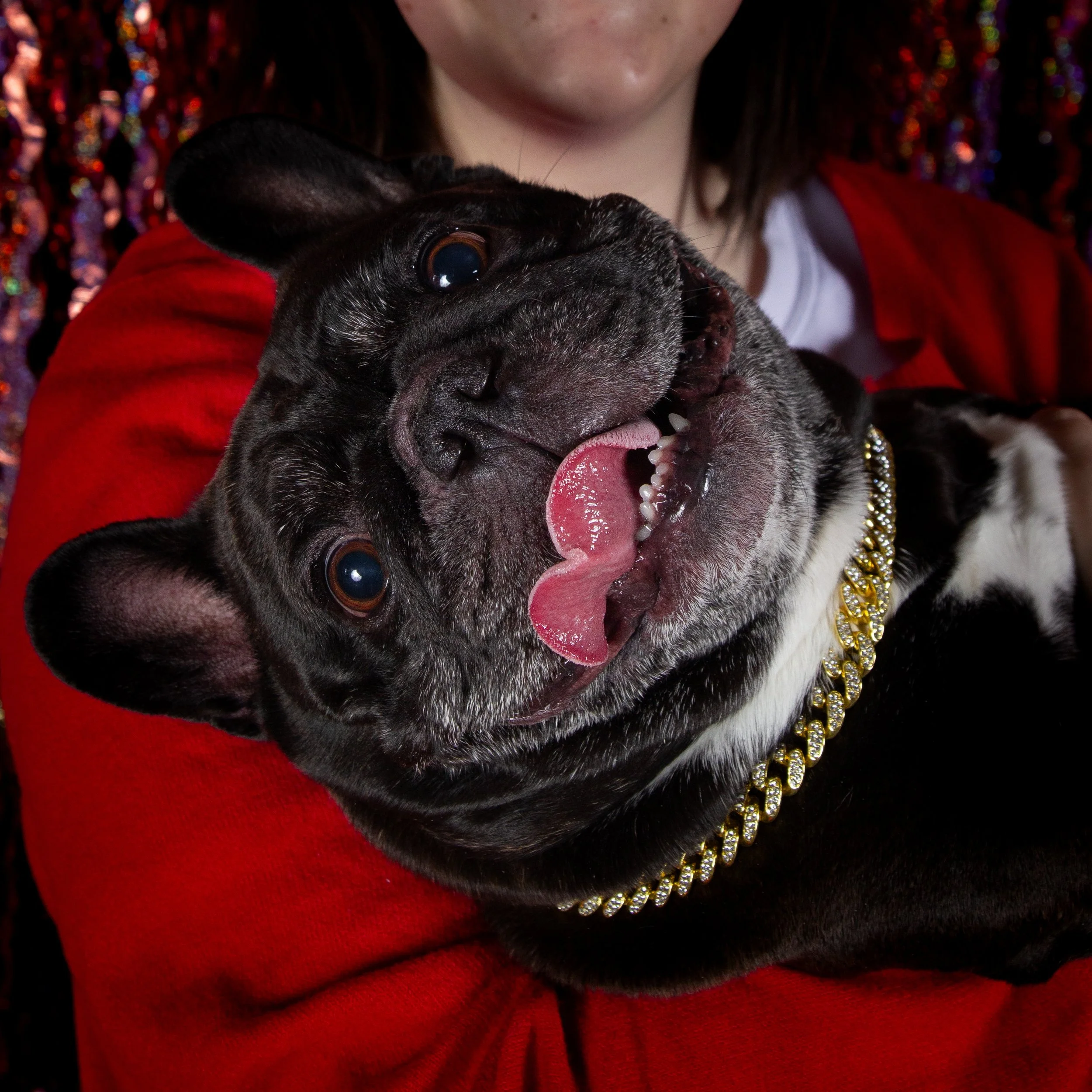 Holiday Portrait-5.jpg