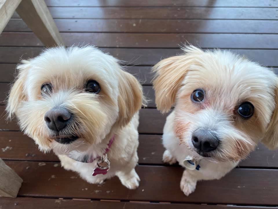 Mandy testimonial.jpeg