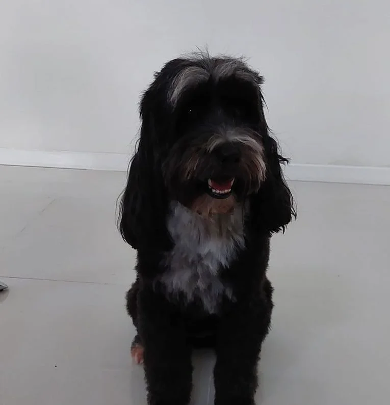 Nellie-testimonial.jpeg