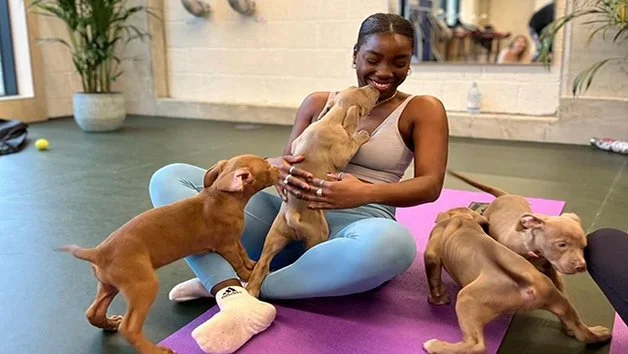 Puppy Yoga