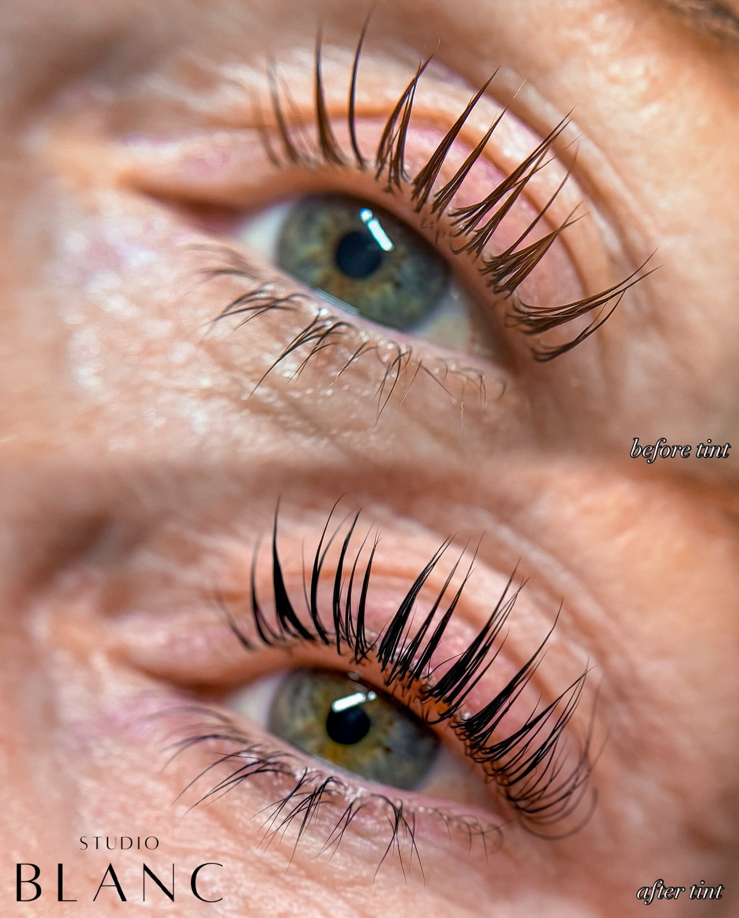 a side by side of our sultry lash lamination with &amp; without tint 🥥🫧

this simple enhancement can take your look to the next level + lasts up to 4 weeks 
.
.
.
.
.
#Dallaslashartist #dallasbrowartist #dfwbrows #dfwlashes #dallasesthetician #lash