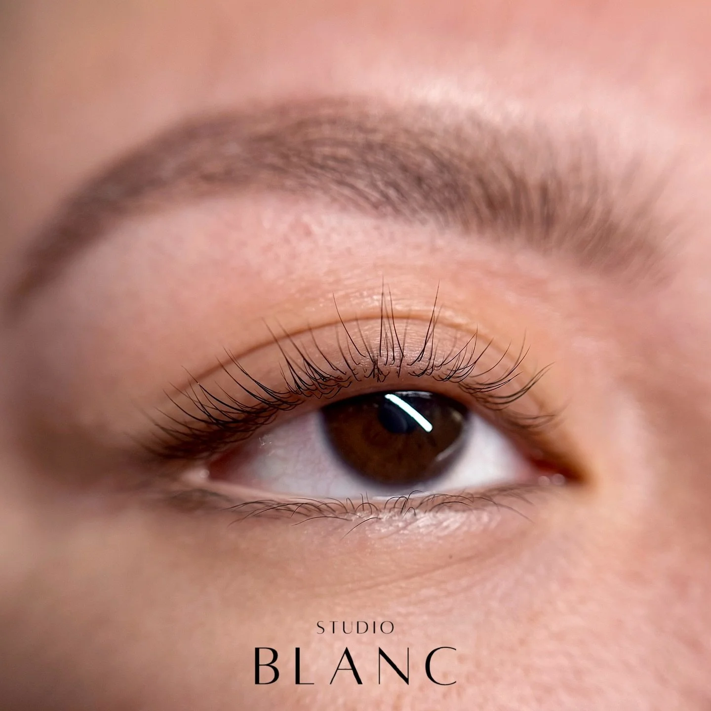 the shorties get love, too 💘

𝘁𝗿𝗲𝗮𝘁𝗺𝗲𝗻𝘁: sultry lash lamination + tint, hybrid brow tint + brow sculpt

#Dallaslashartist #dallasbrowartist #dfwbrows #dfwlashes #dallasesthetician #lashlift #dfwesthetician #dfwlashartist #dfwbrowartist #dfw