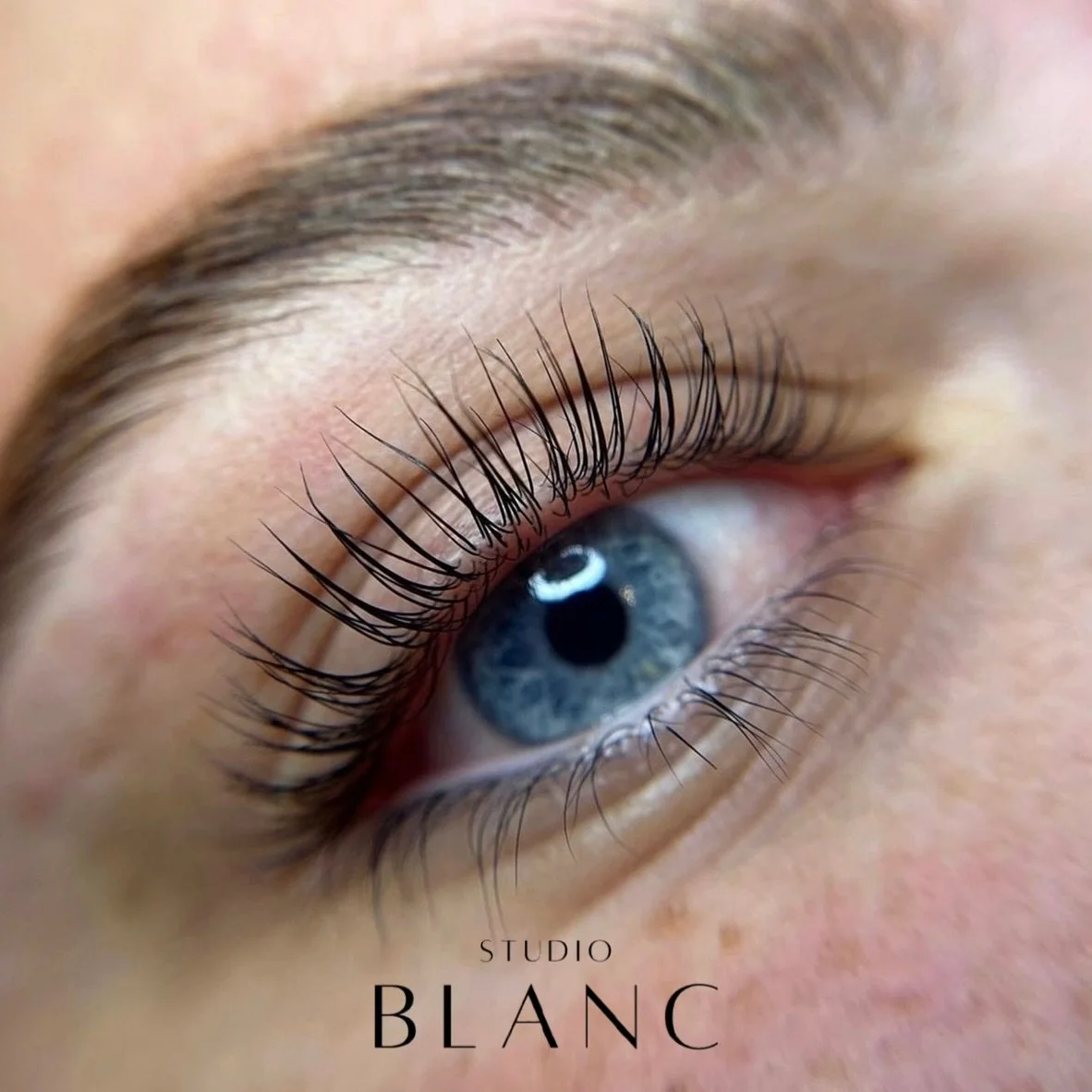 perfectly laid brows + perfectly lifted lashes
it doesn&rsquo;t get better than this 🙂&zwj;&harr;️

𝘁𝗿𝗲𝗮𝘁𝗺𝗲𝗻𝘁: face frame: lash + brow lamination (𝘯𝘢𝘵𝘶𝘳𝘢𝘭)

#Dallaslashartist #dallasbrowartist #dfwbrows #dfwlashes #dallasesthetician 