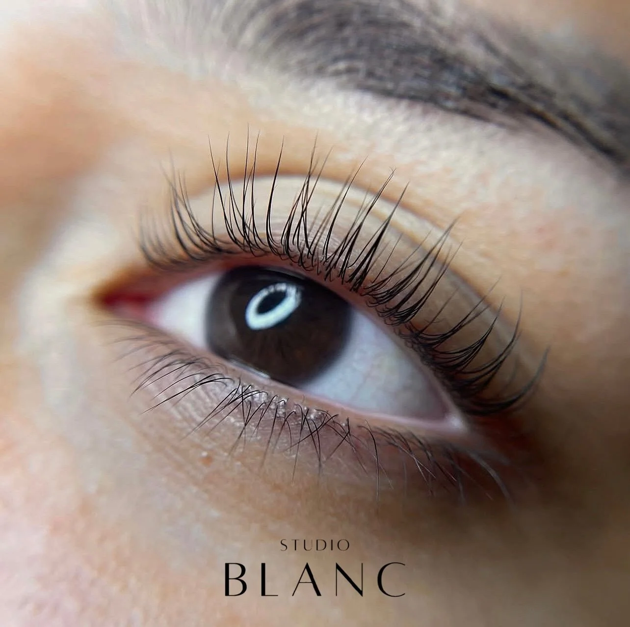 fall &lsquo;25 ready✨

𝘁𝗿𝗲𝗮𝘁𝗺𝗲𝗻𝘁: sultry lash lamination + tint

#Dallaslashartist #dallasbrowartist #dfwbrows #dfwlashes #dallasesthetician #lashlift #dfwesthetician #dfwlashartist #dfwbrowartist #dfwbrows #lashartist #browartist #promotion