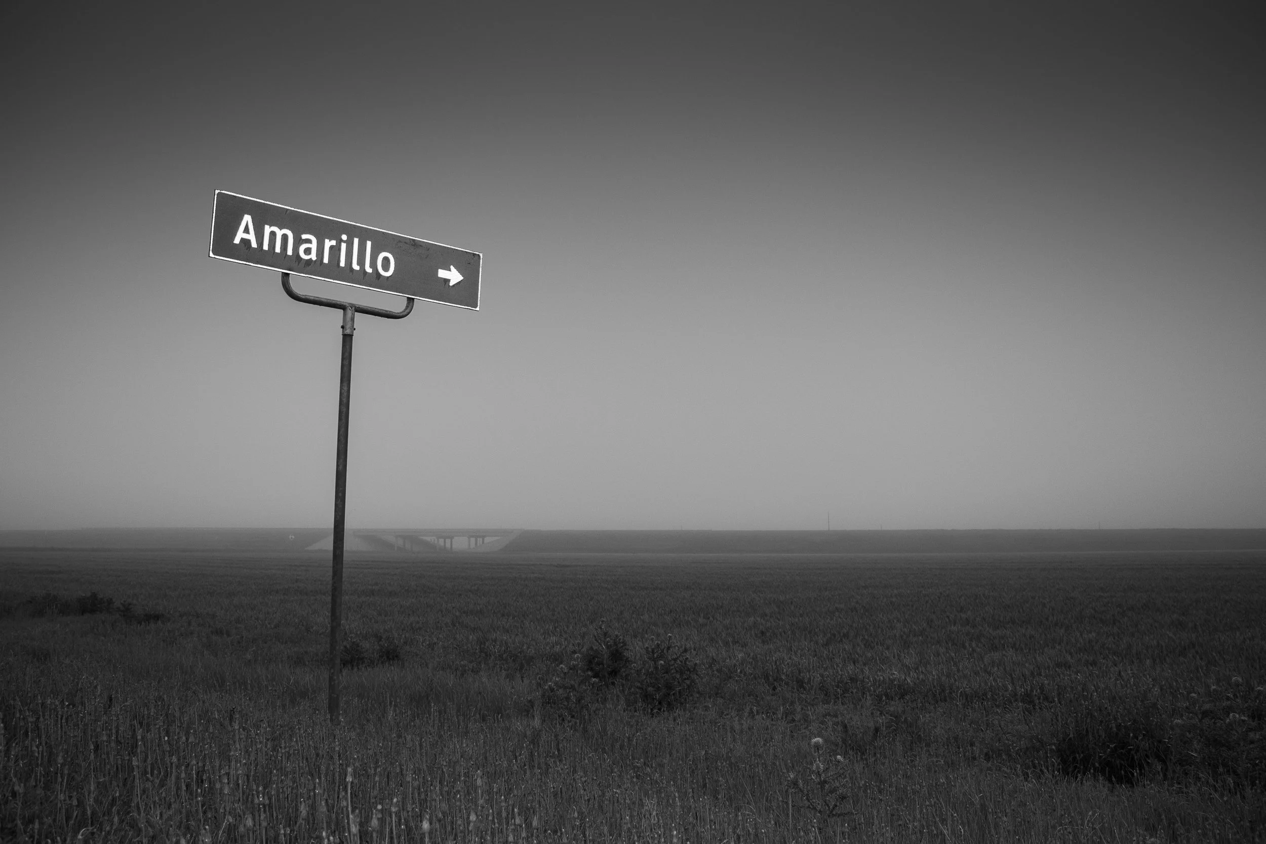 Let's Stay Lost.jpg