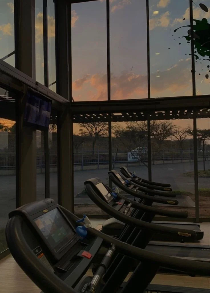 Four treadmills facing large glass windows with a sunset sky and trees outside.