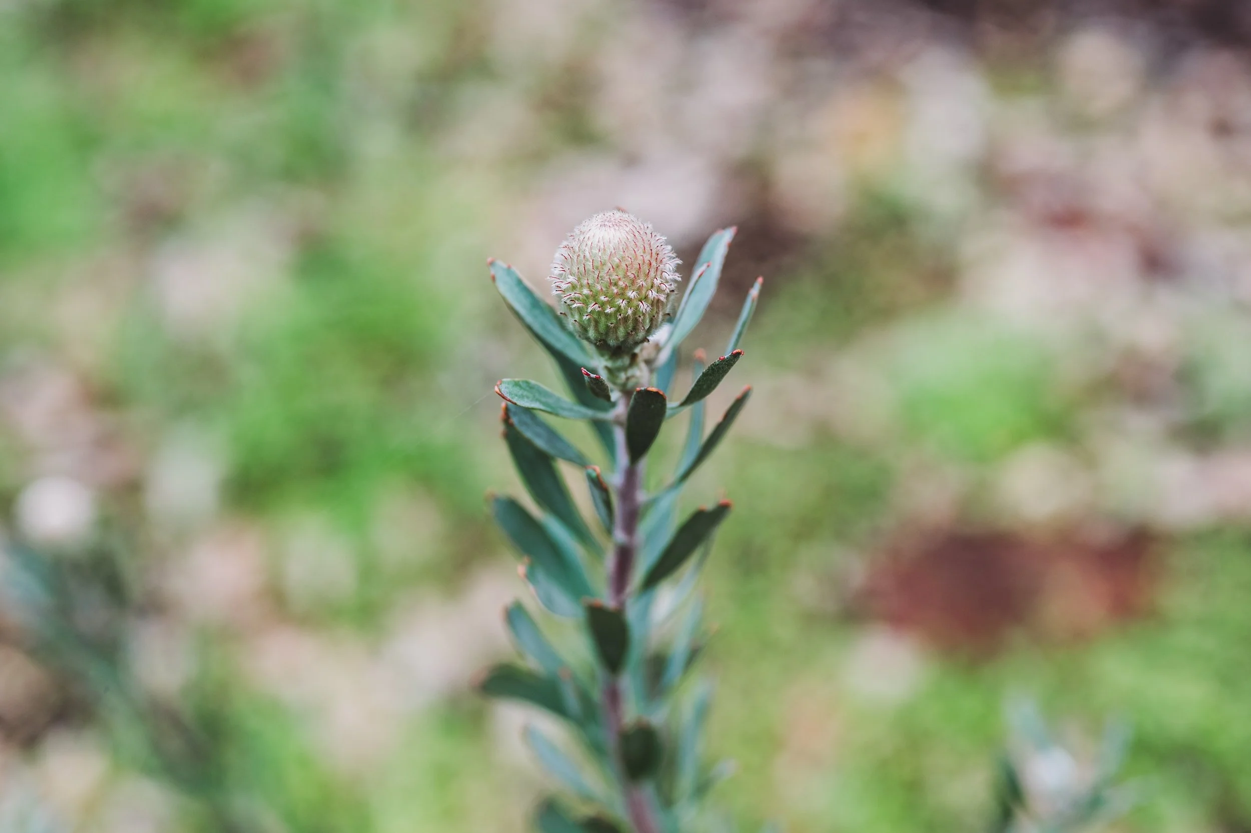 WHEL Consulting Perth – Workplace Systems, HR & Leadership Experts