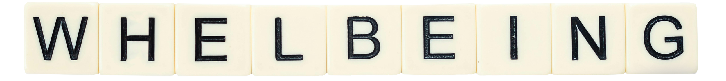 WHEL Consulting Perth – Workplace Systems, HR & Leadership Experts