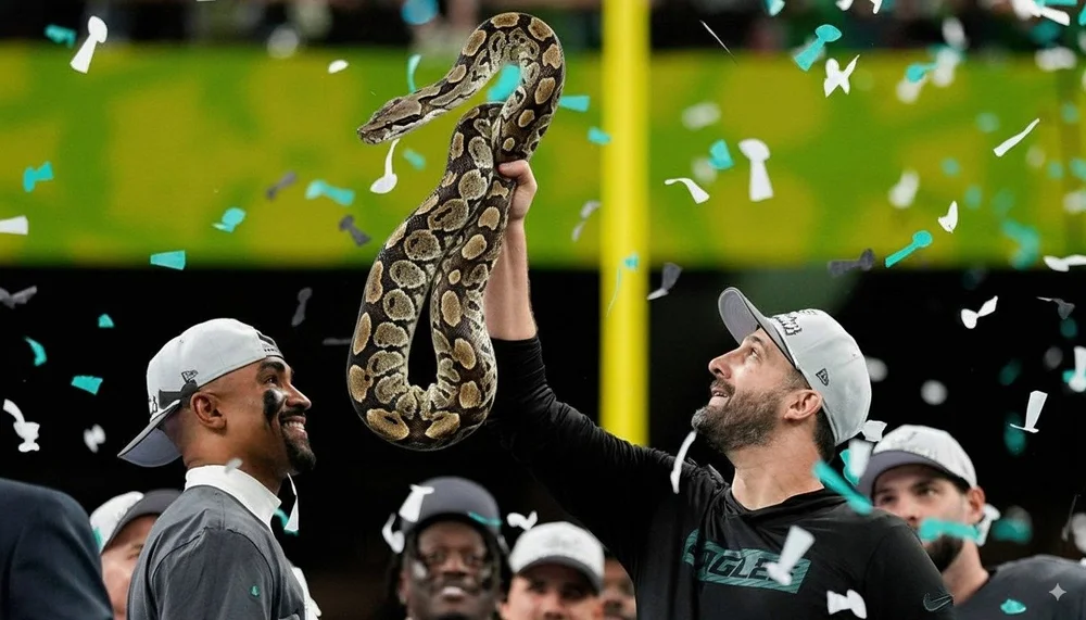 Generated Image August 28, 2025 - 12_42AM.jpeg