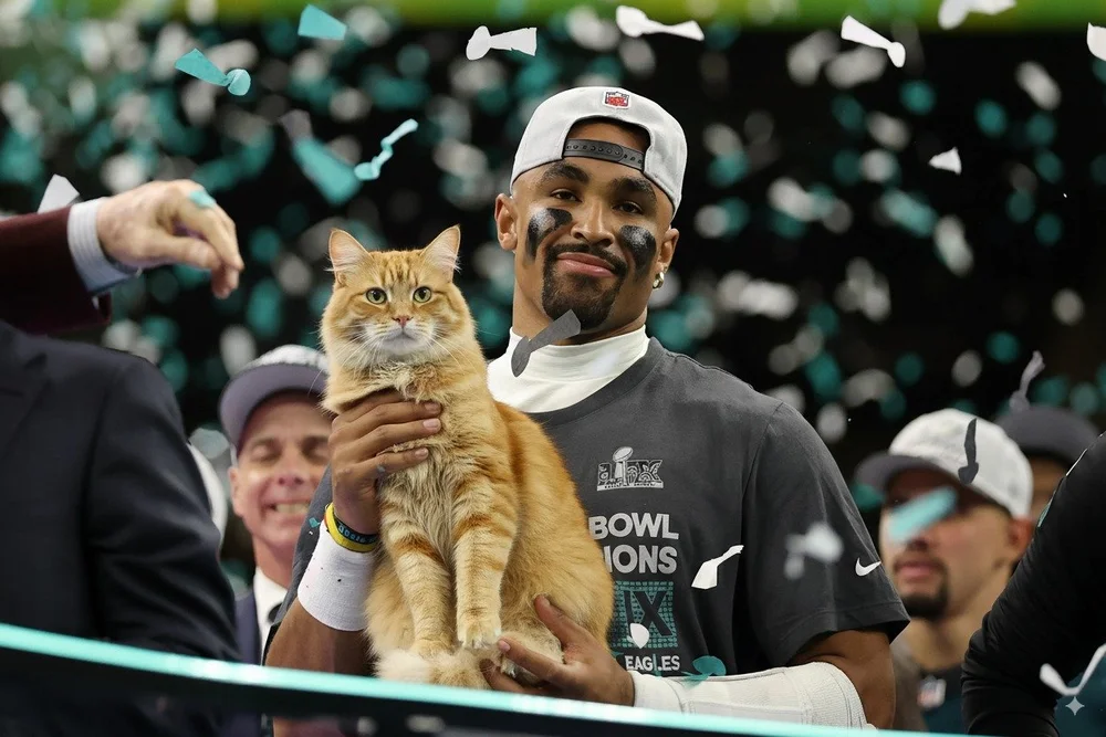 Generated Image August 28, 2025 - 12_39AM.jpeg