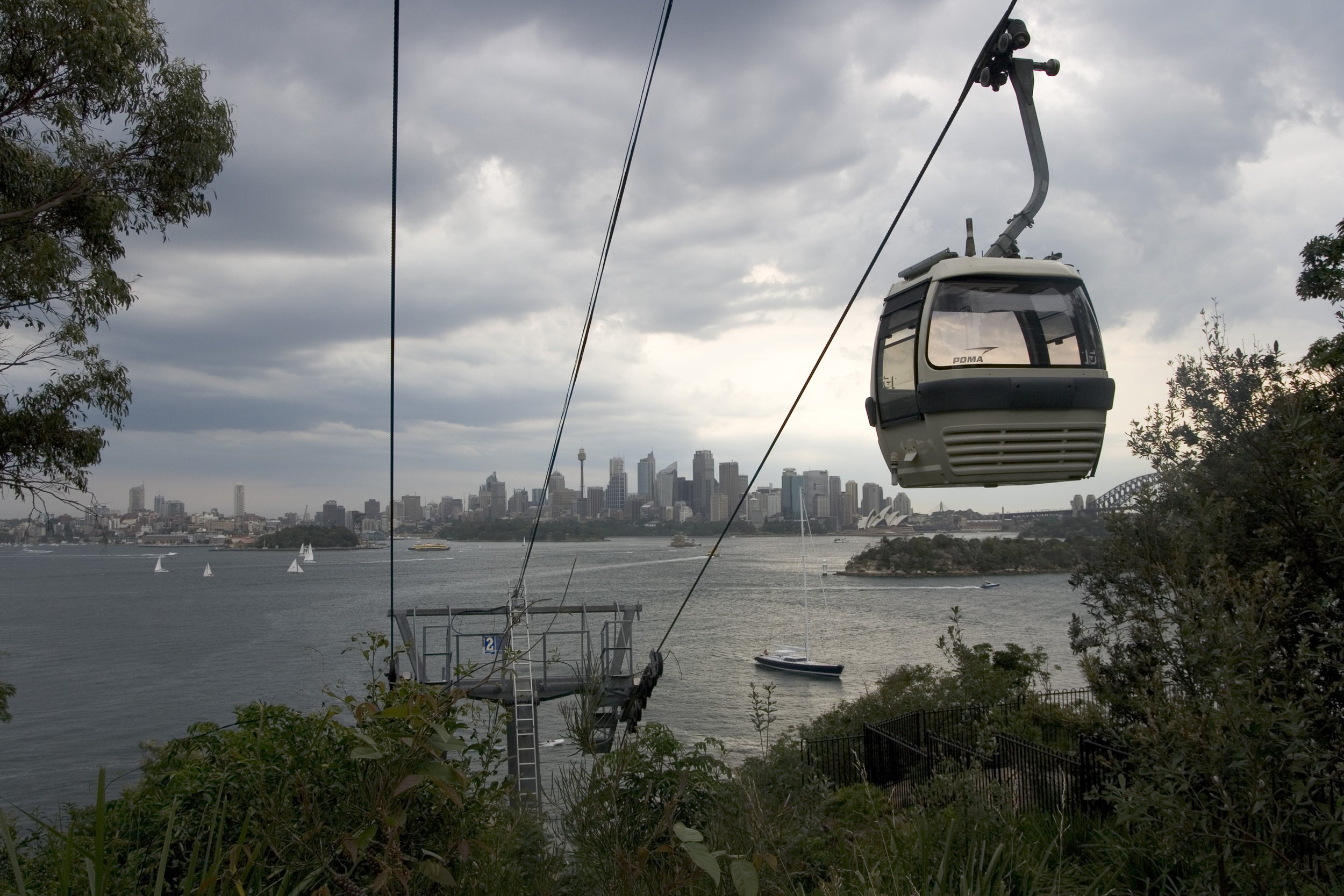 Taronga_photo_4.jpeg