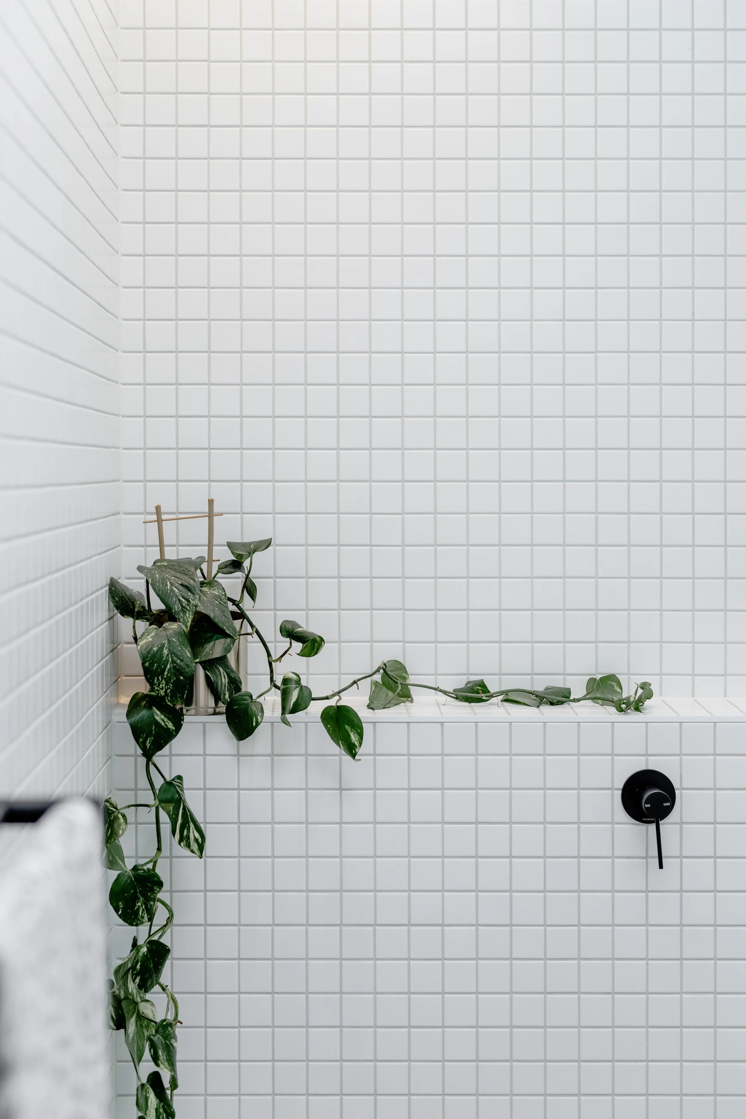 Copy of _MG_5048.jpg