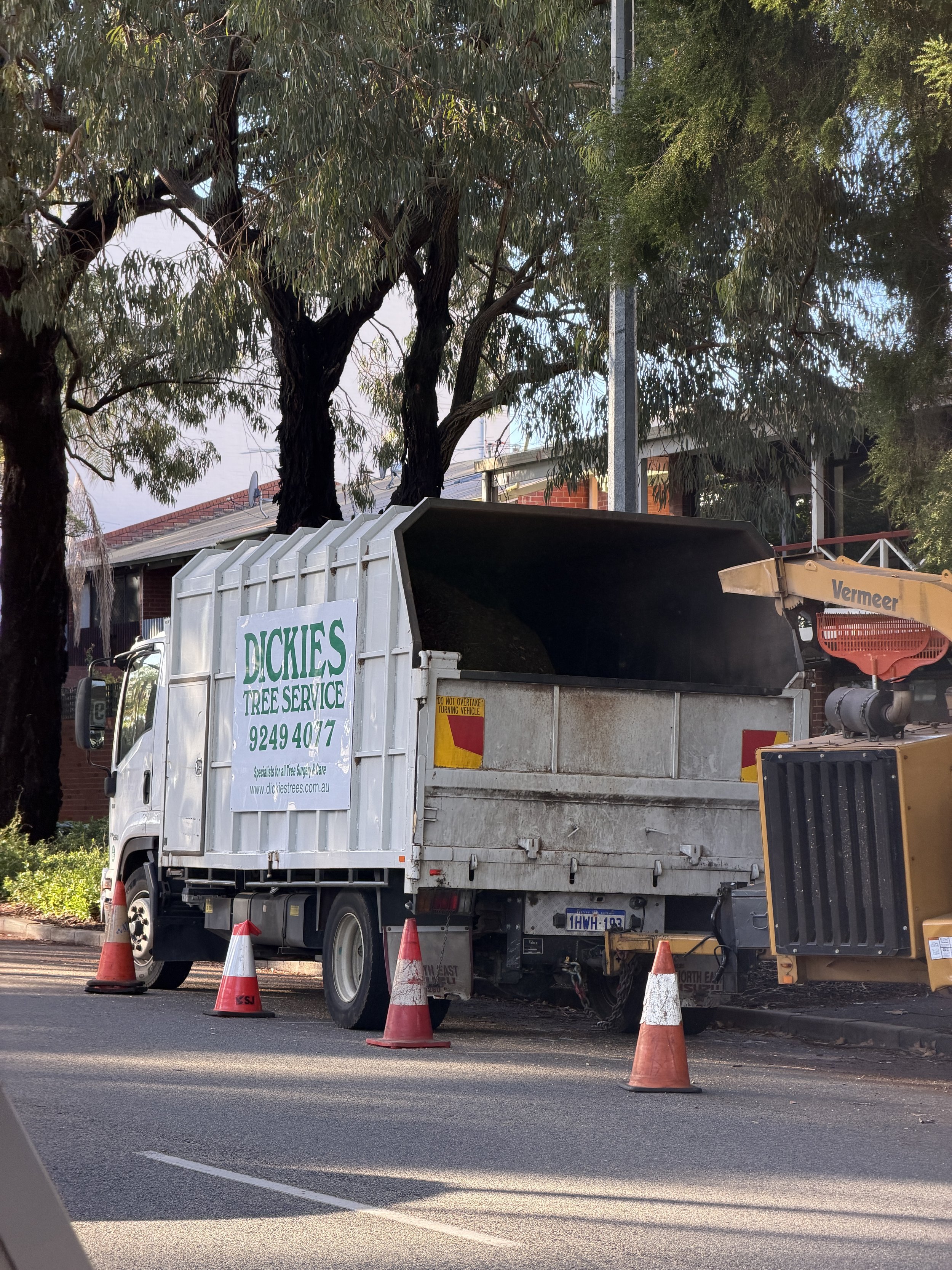 A white truck with green and white signage for Dickies Tree Service is parked on a street, surrounded by orange traffic cones, with trees and buildings in the background.