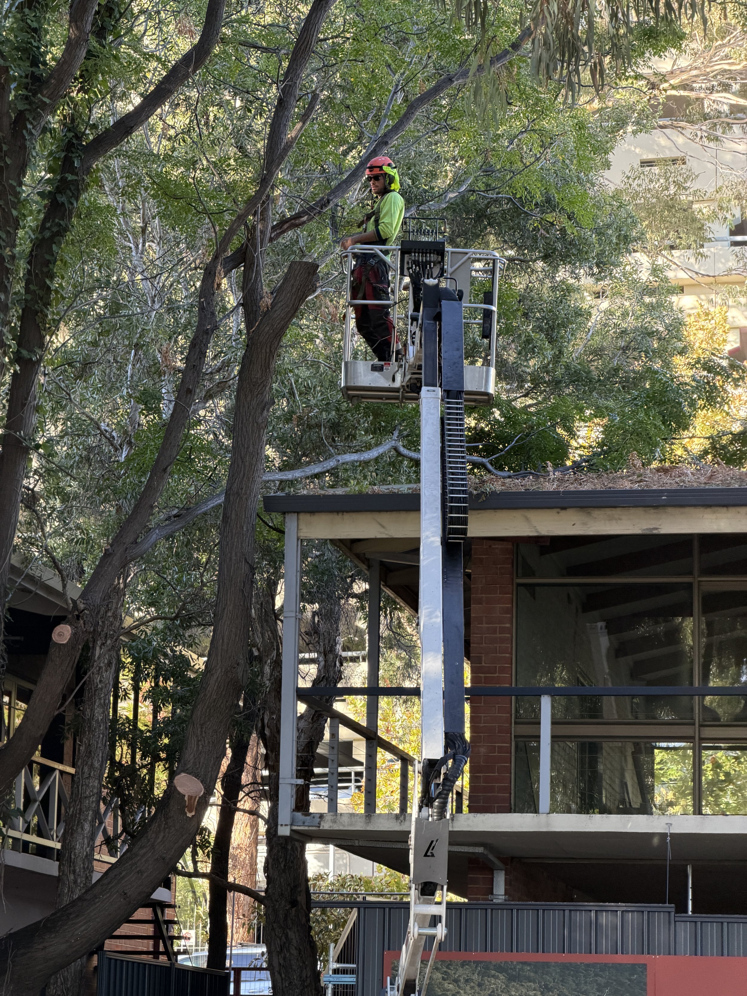 A man in safety gear standing on a cherry picker lift near a tree, working on the tree or nearby infrastructure, with a building and trees in the background.