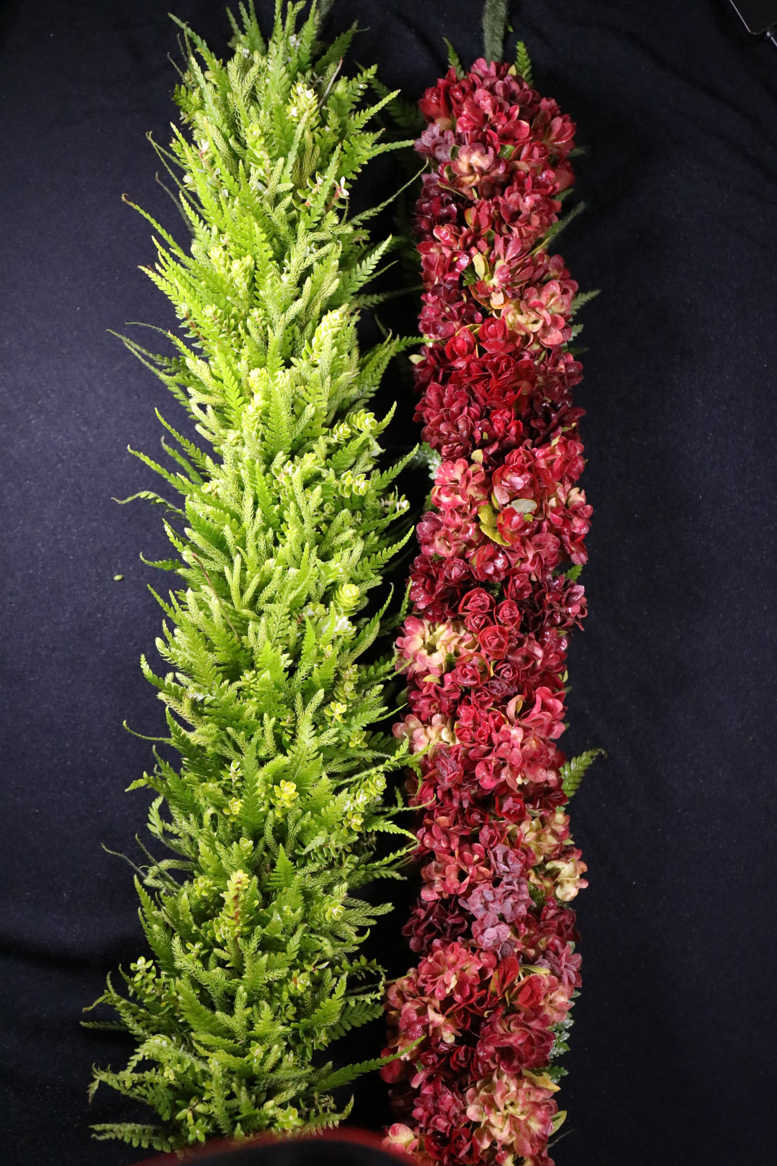 Two flower lei, one made of palapalai fern, pukiawe fern and the other of maroon aalii flowers as well as like ohelo lying on a dark surface.