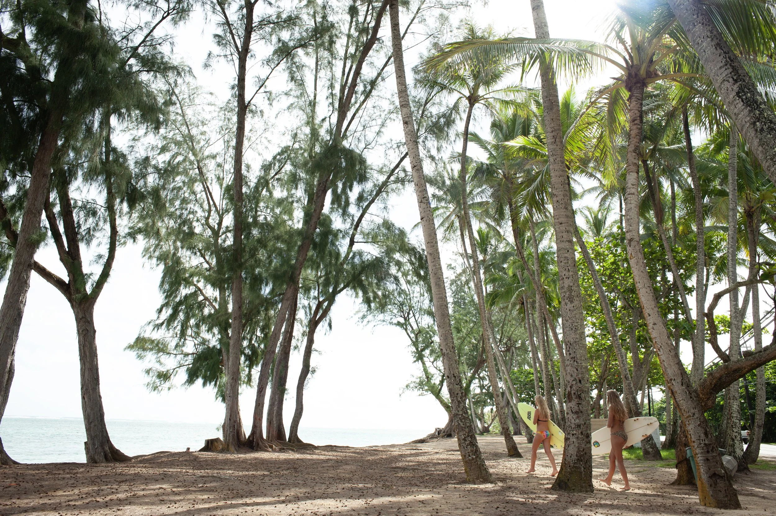 ©Tungsten201103057 copy.jpg