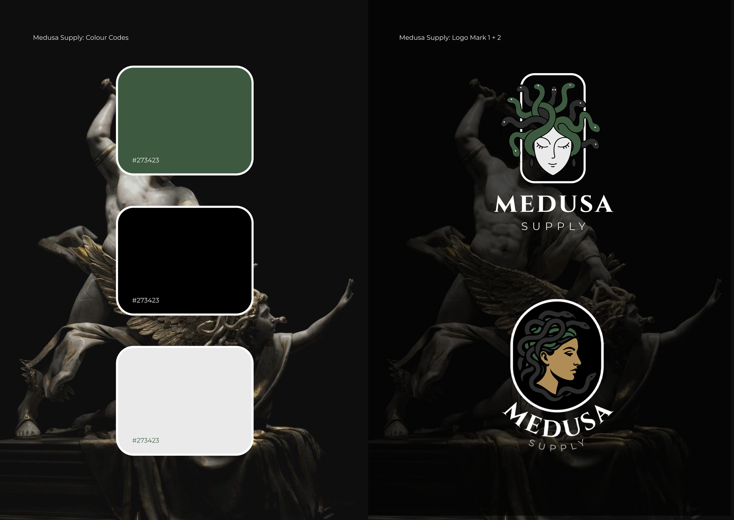 logo mark 1 and 2 artboards.png