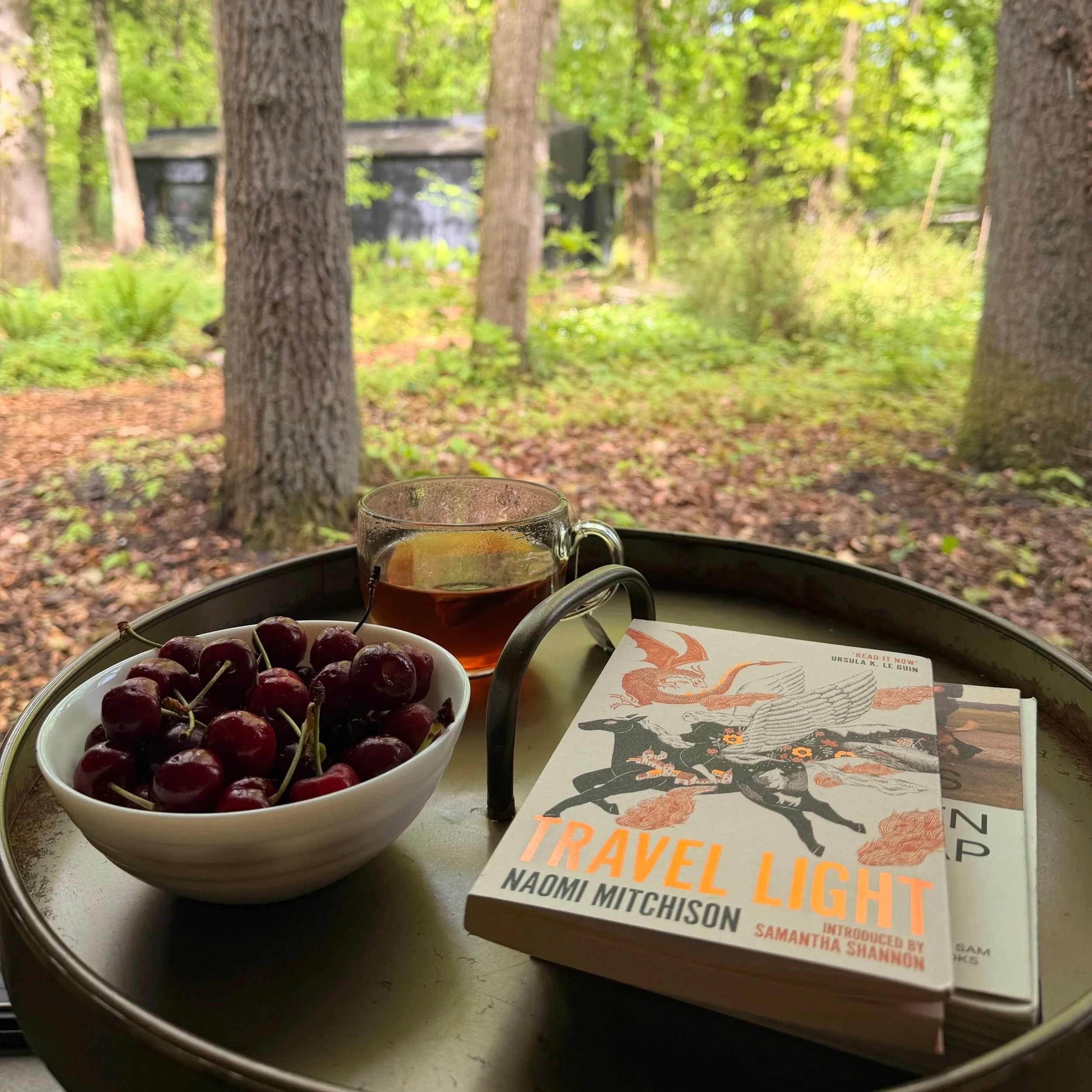 Book 'Travel Light' by Naomi Mitchison on a table next to a tea cup and bowl of cherries overlooking the Hoge Veluwe National Park