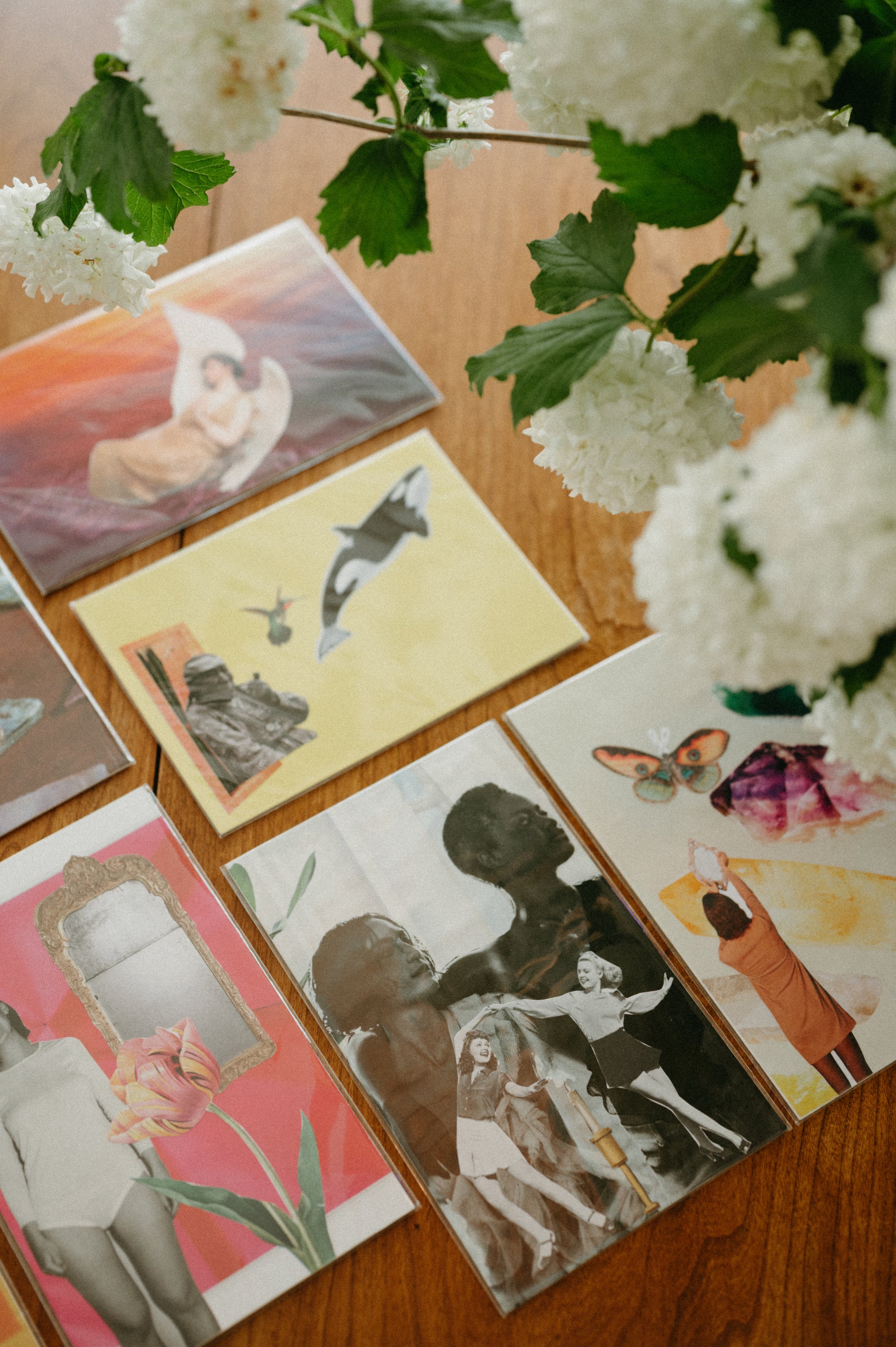 A collection of postcards or photographs on a wooden surface, with white flowers and green leaves partially covering them.