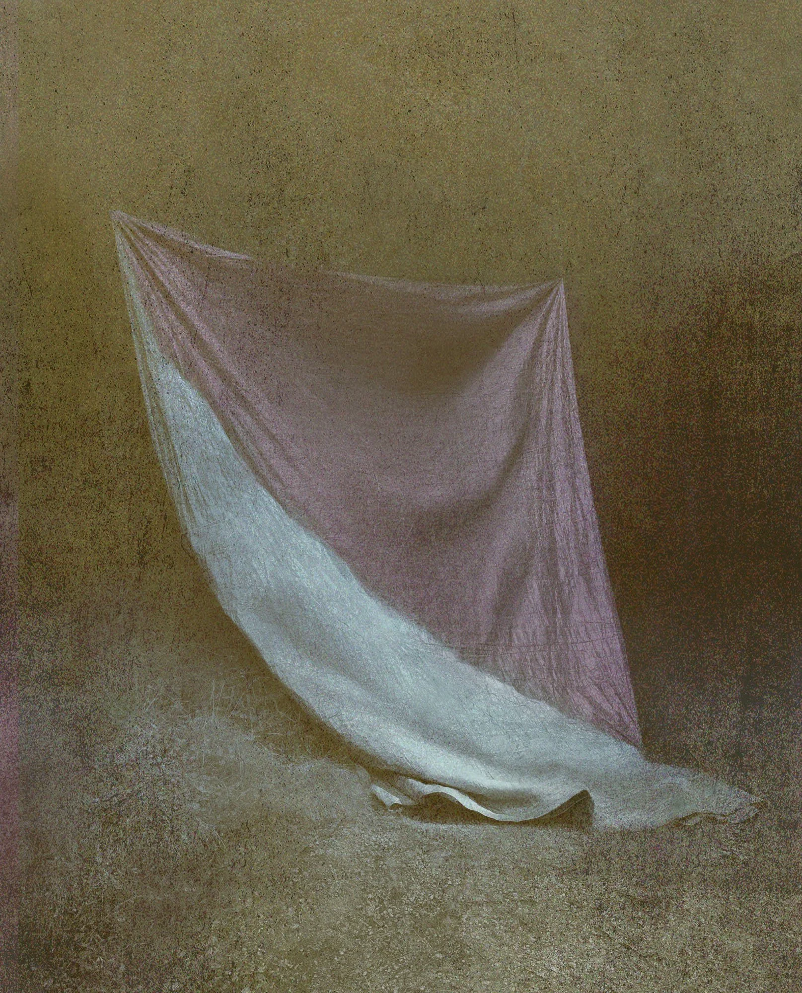 Untitled (1), 2026, Archival pigment print, Edition in three sizes