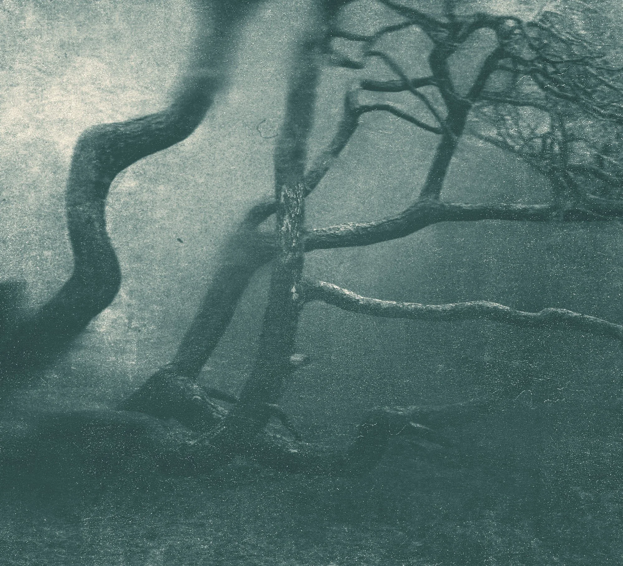 Fragment (6), 2025, Archival pigment print, Edition in three sizes