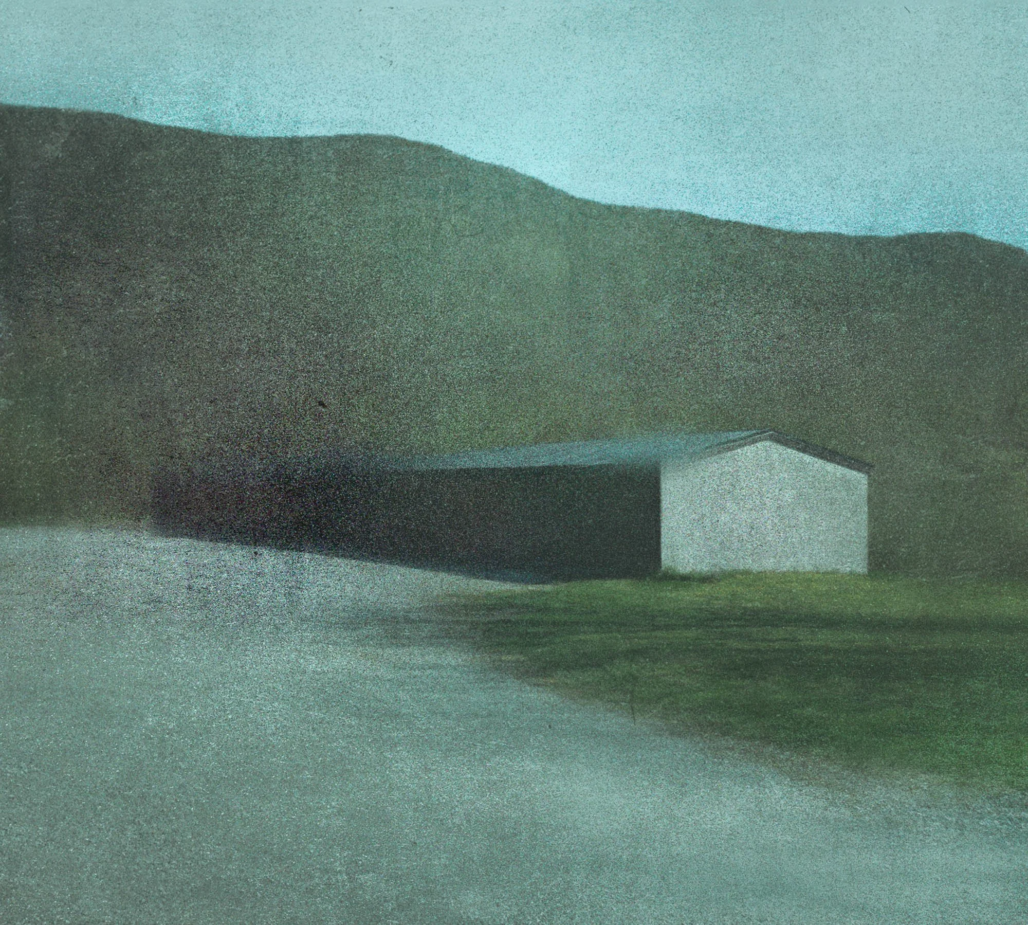 Untitled (Hidden 3), 2025, Archival pigment print, Edition in three sizes