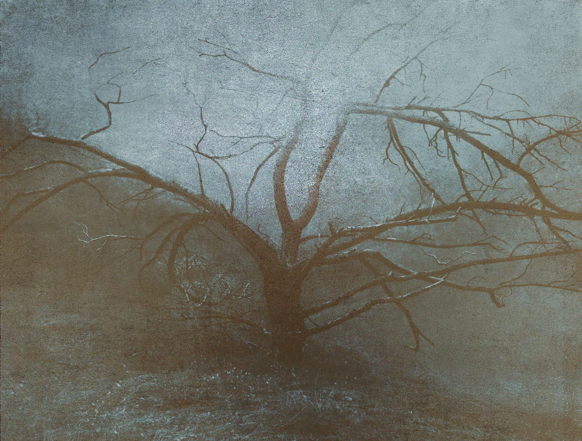Untitled (Blind Spot), 2025, Archival pigment print, Edition in three sizes