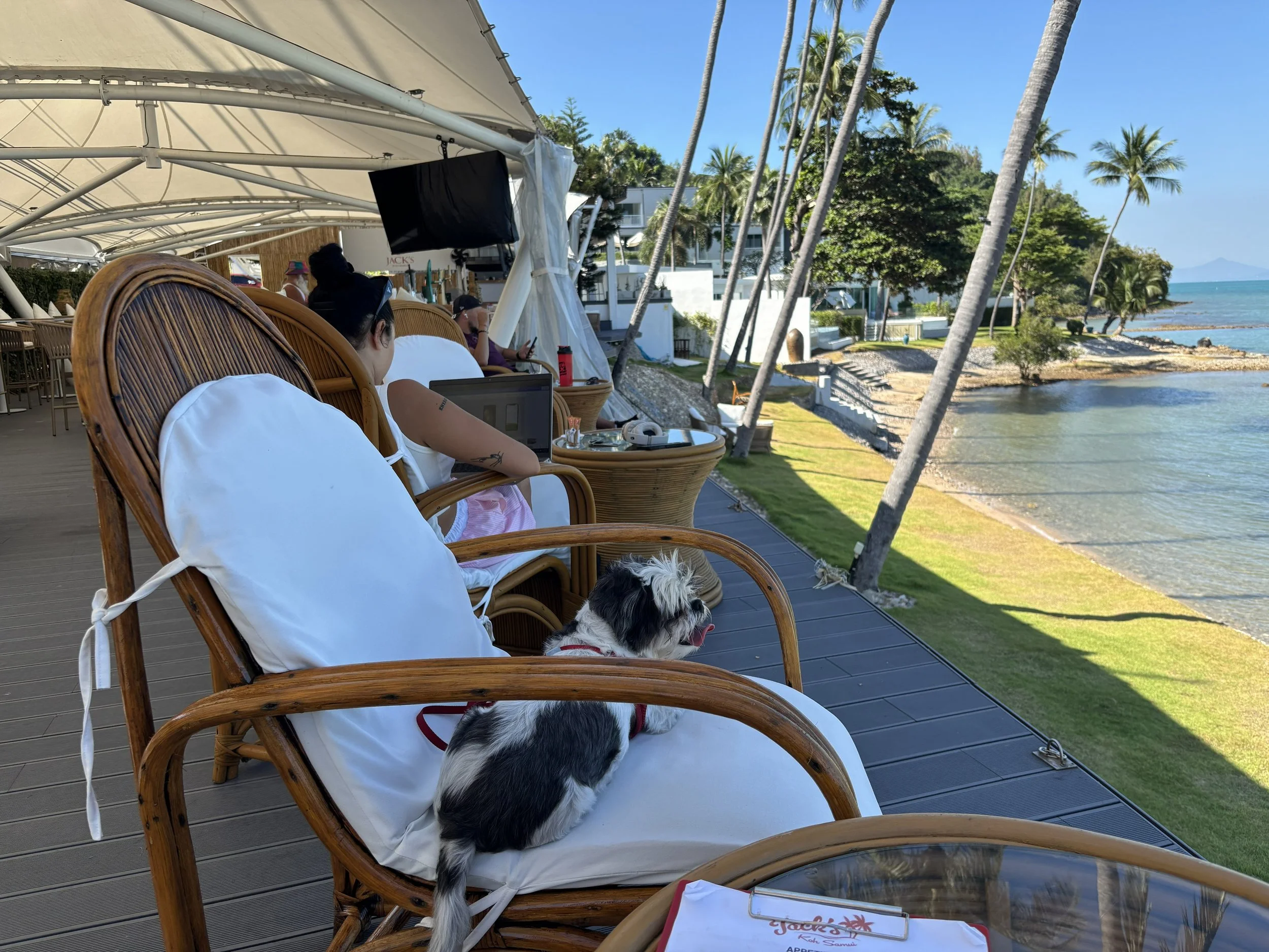 Is Koh Samui Safe? A Local’s Honest Guide for Visitors, Expats and Property Buyers?