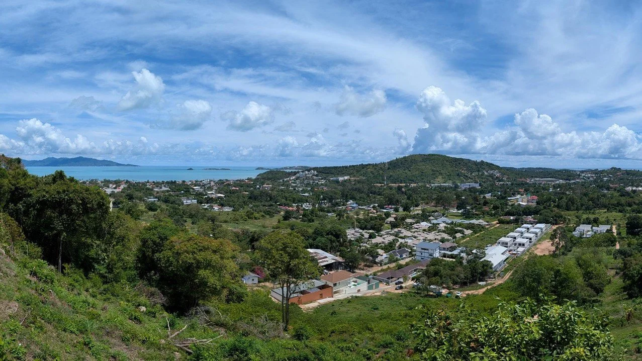 Real View.jpg