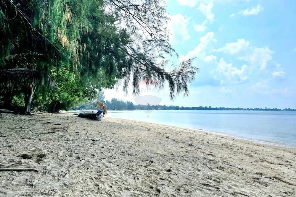 image1.jpeg